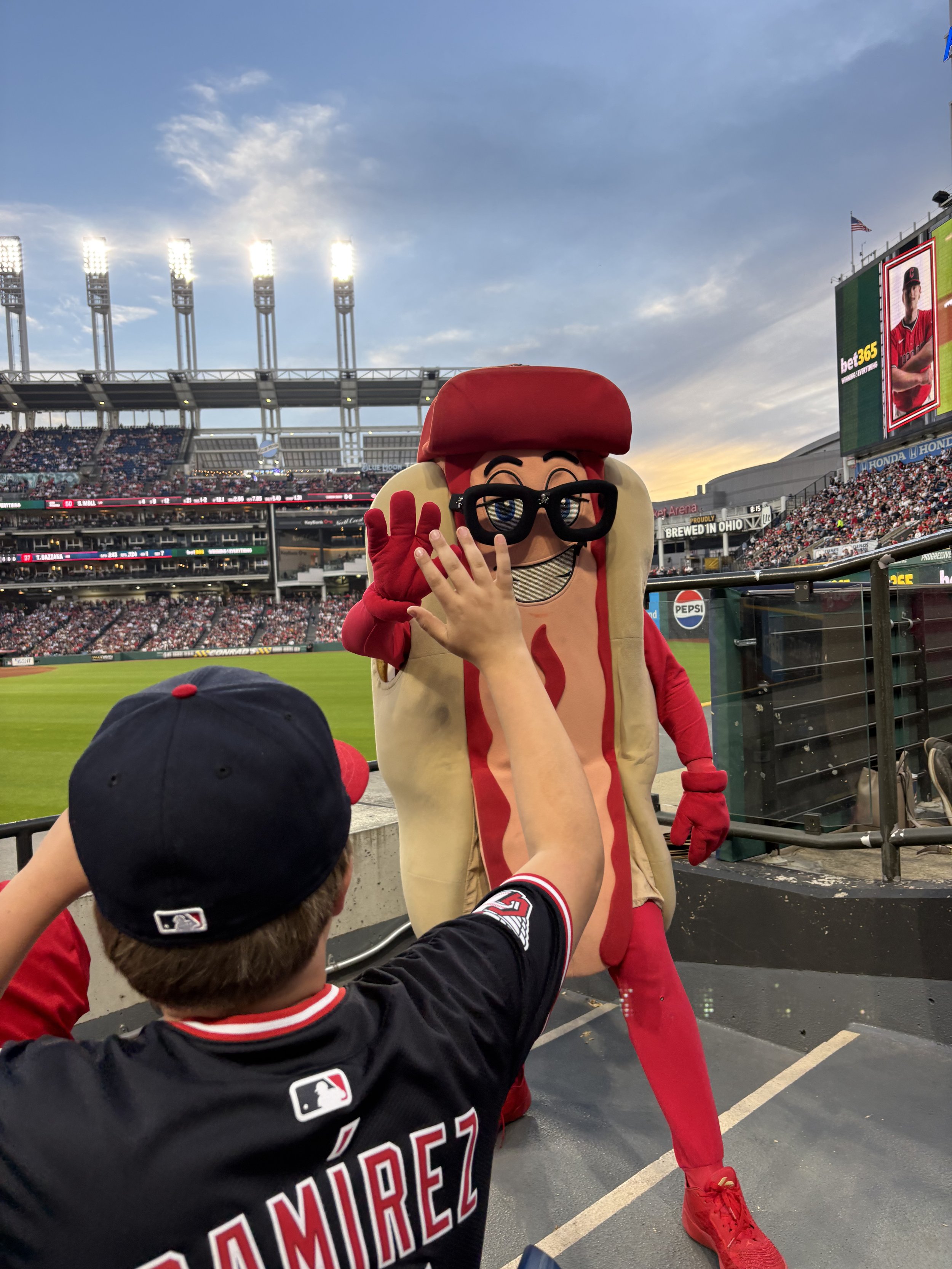 Mascot dressed as a hot dog with glasses high-fives young baseball fans at a stadium during a game.
