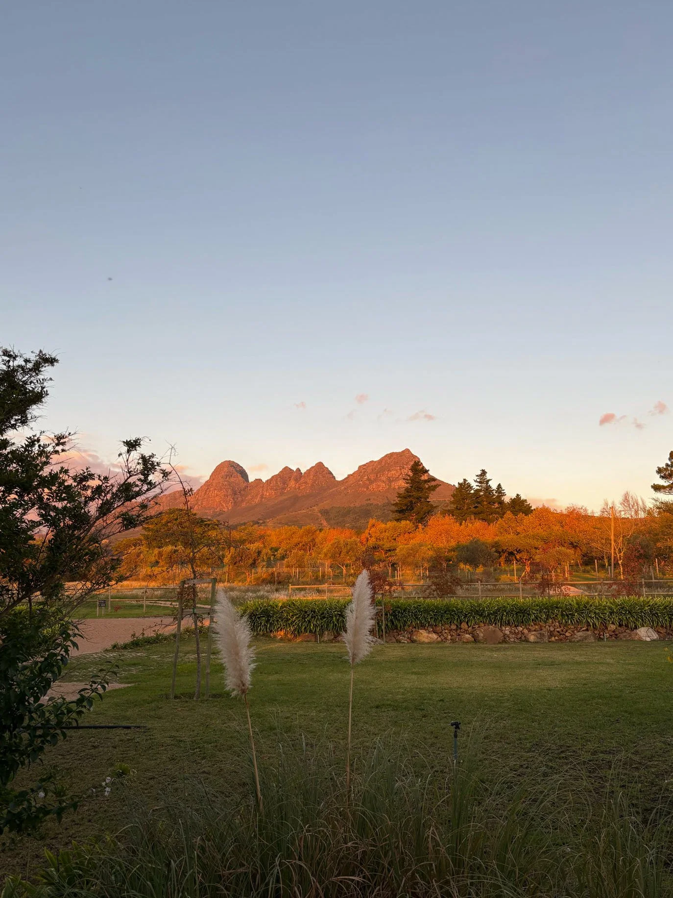 Sunset over mountains with trees in the foreground and a water fountain.