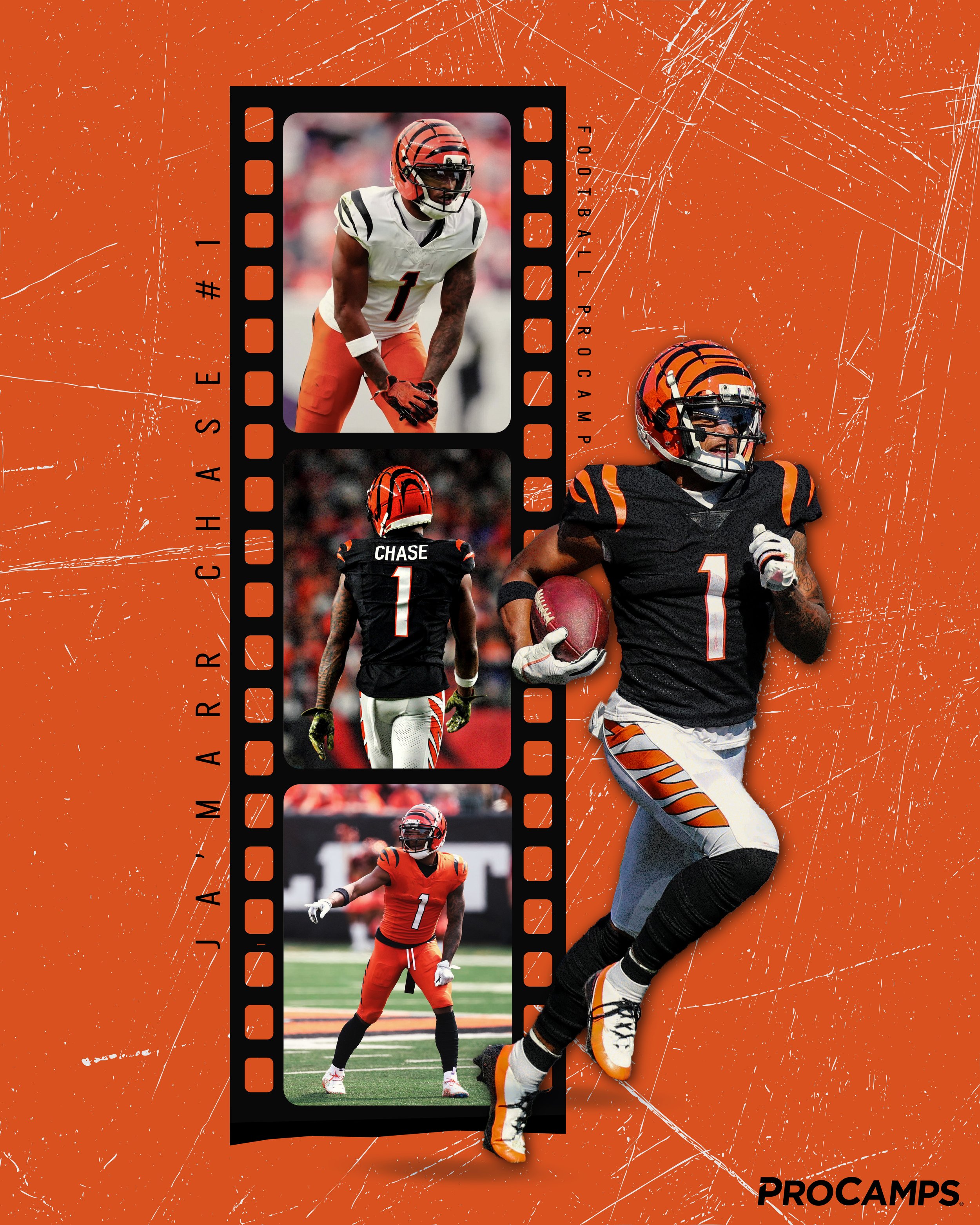 Film_Graphic.jpg