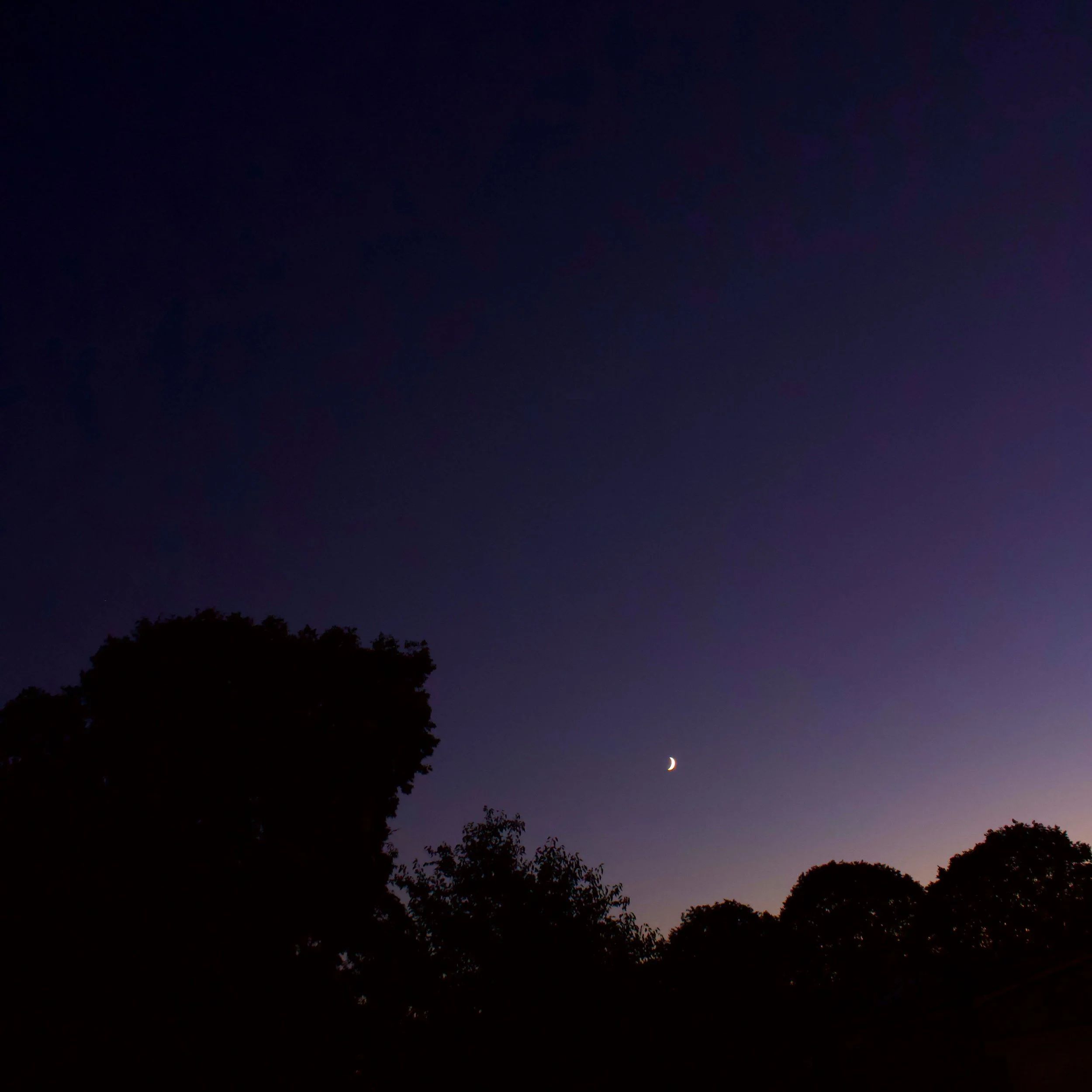 Night sky with a crescent moon near the horizon, dark silhouettes of trees in the foreground, and a faint glow of stars or celestial light in the sky.