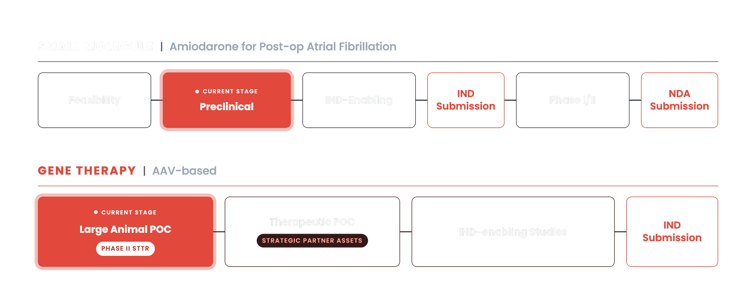 Corami small molecule and gene therapy development pathway from feasibility through clinical development
