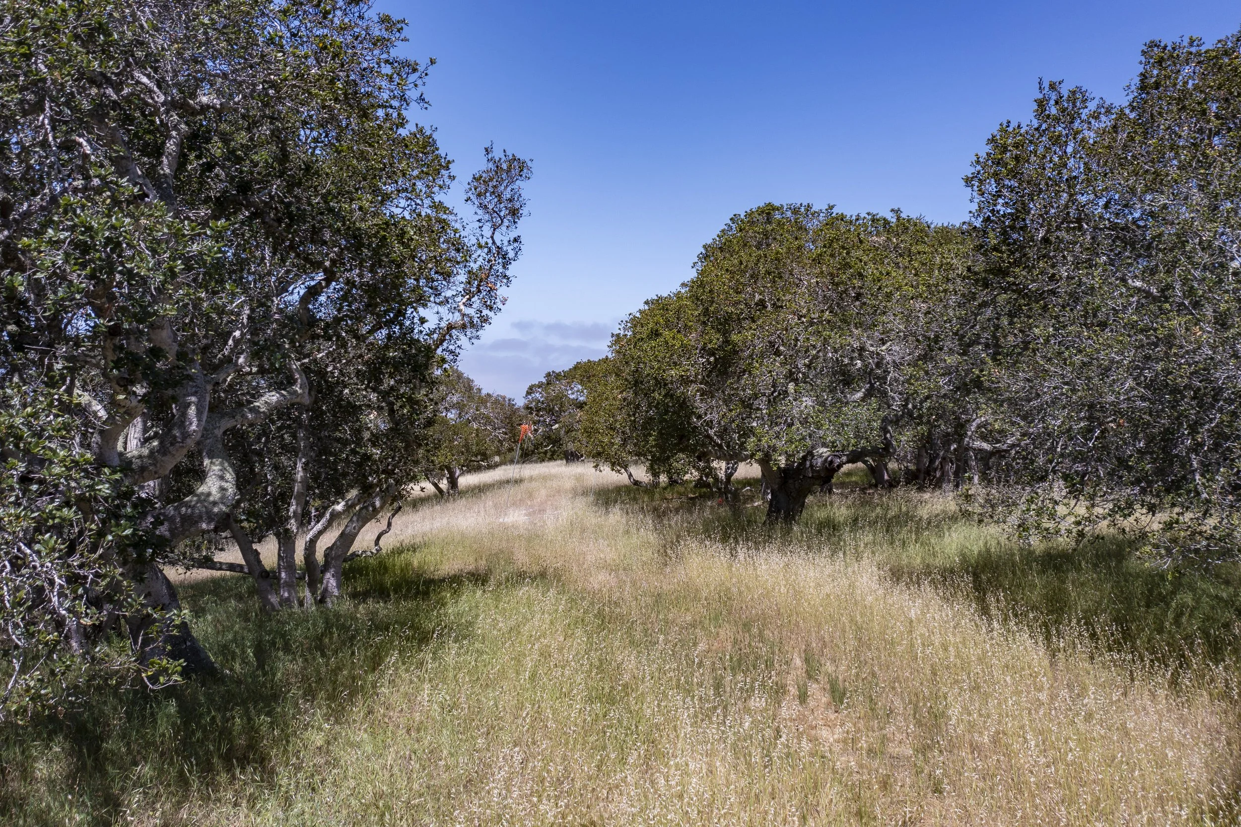 1-Tehama Lot 77-.jpg