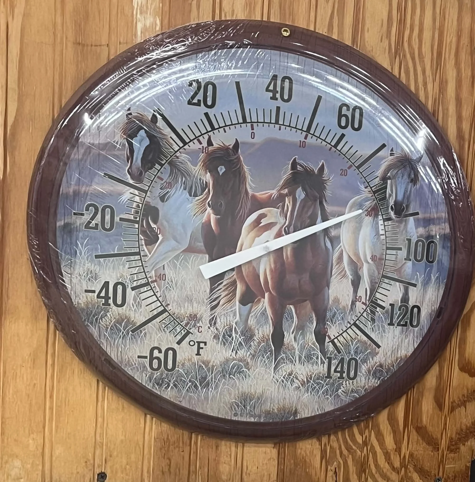 Horse-Themed Indoor/Outdoor Thermometer