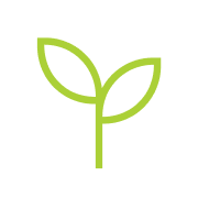 Simple green outline of a plant with two leaves.