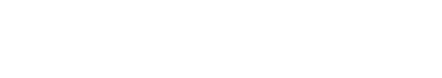 Lincoln County Safe Streets Action Plan