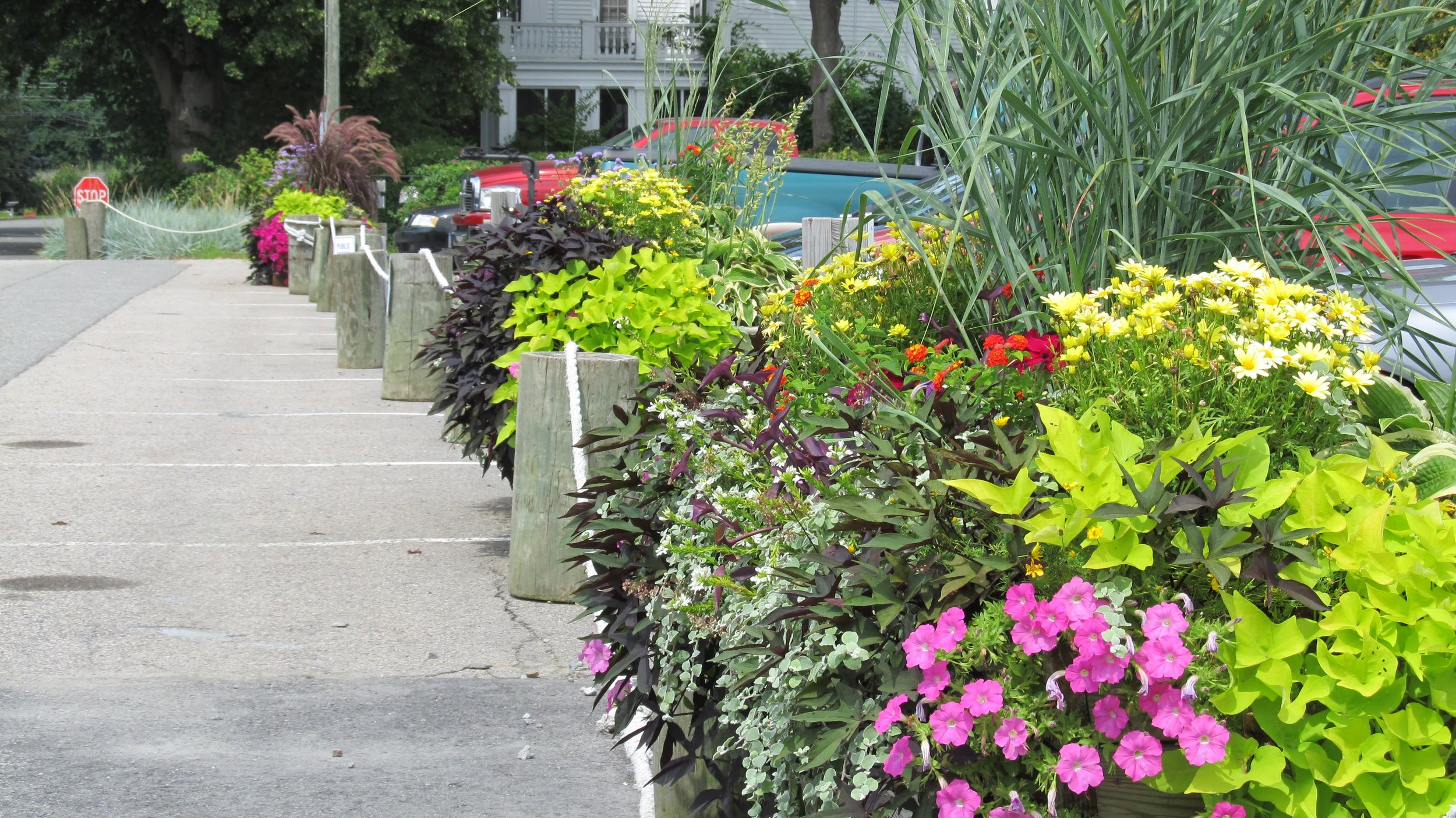 MSY Flowers 012.JPG