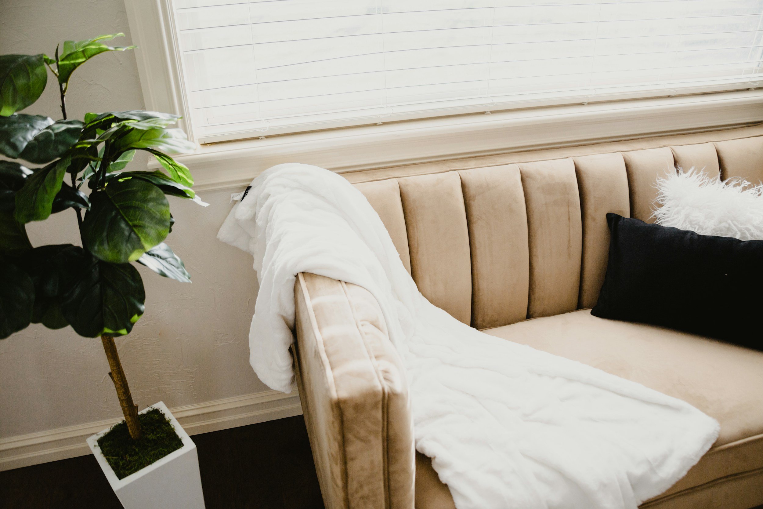 Close-up of a beige upholstered bed with pillows, a white blanket, and decorative pillows in black and white furry textures, next to a large green potted plant with broad leaves, and a window with closed white blinds.