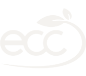 Ecco logo with a small leaf above the 'c'