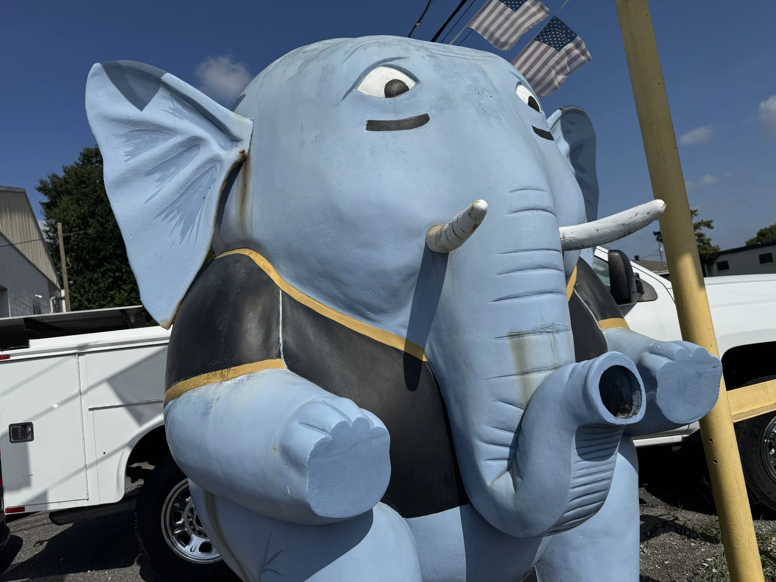 harry-batt-blue-elephant-current-condition.jpg