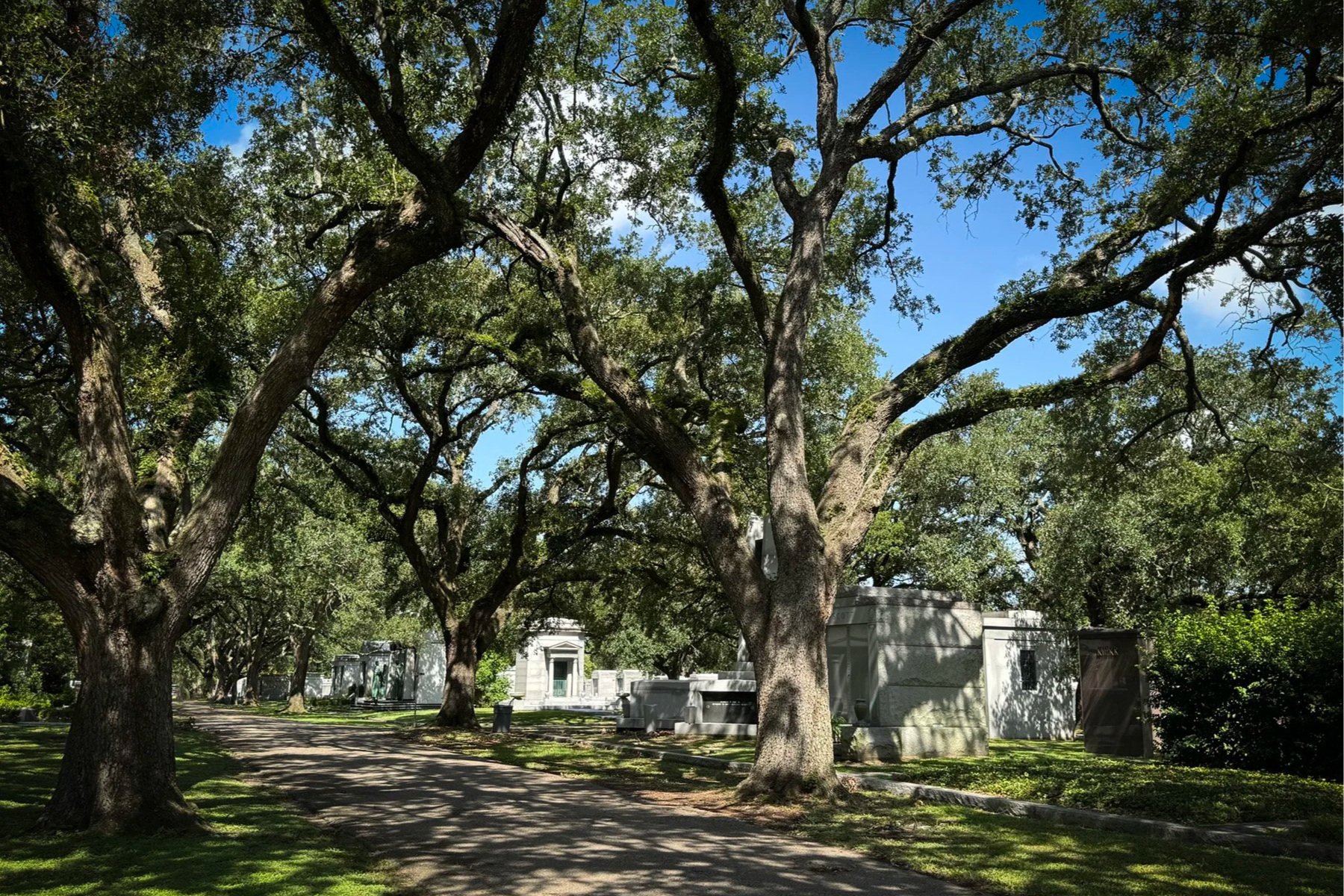 Oak-lined avenue winding past family tombs and mausoleums in Metairie Cemetery in New Orleans.