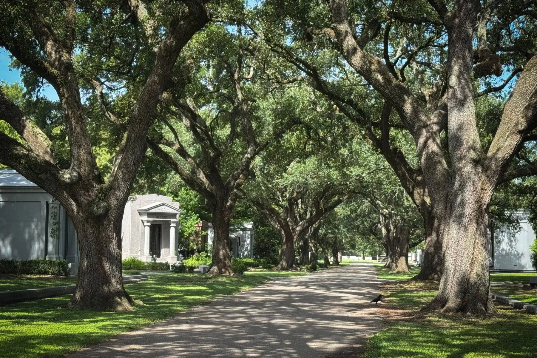 Oak-lined avenue passing between aboveground tombs and mausoleums in Metairie Cemetery in New Orleans.
