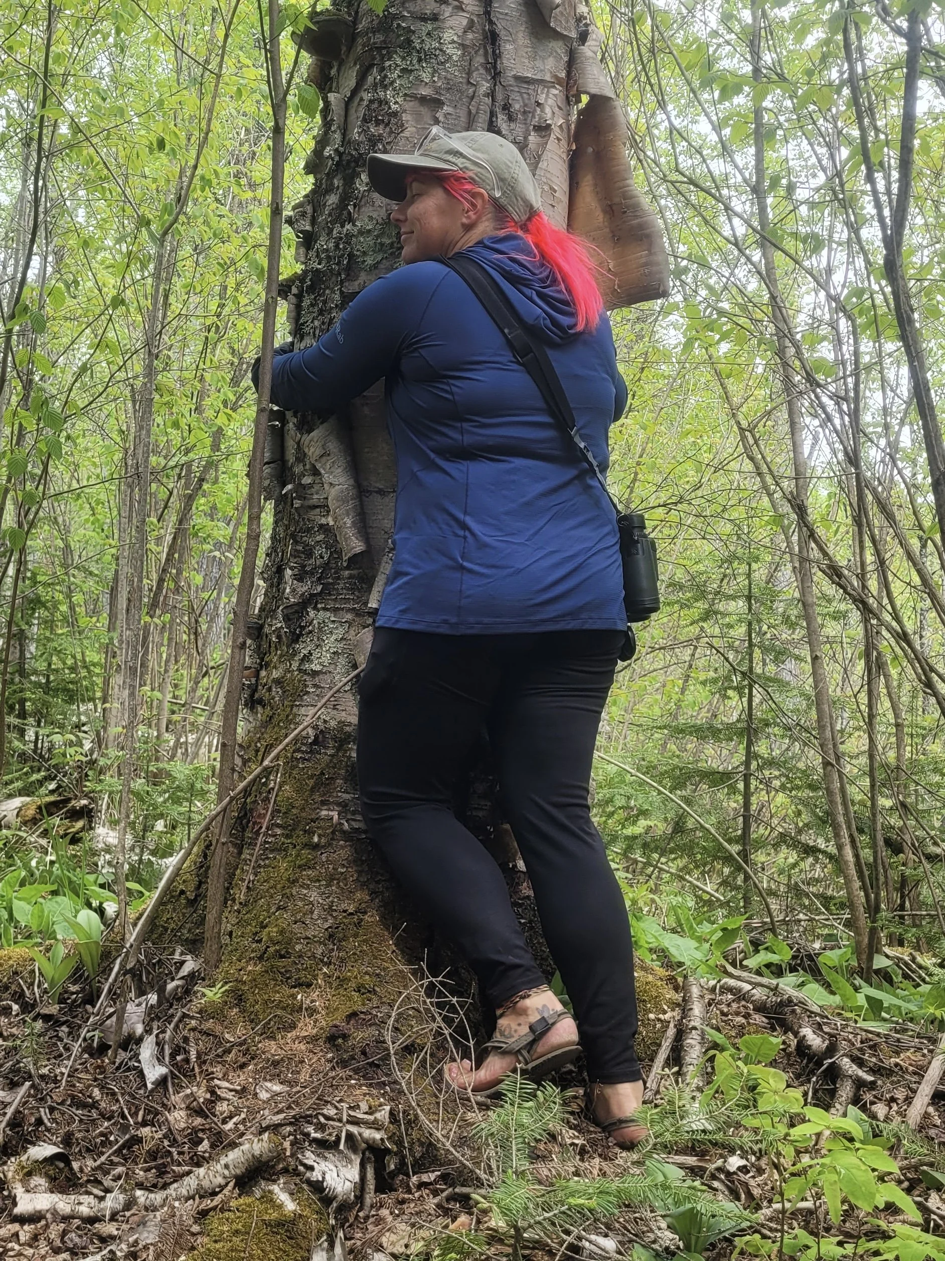 A woman with pink hair wearing a gray cap, blue jacket, and black pants, hugging a large tree in a forest.