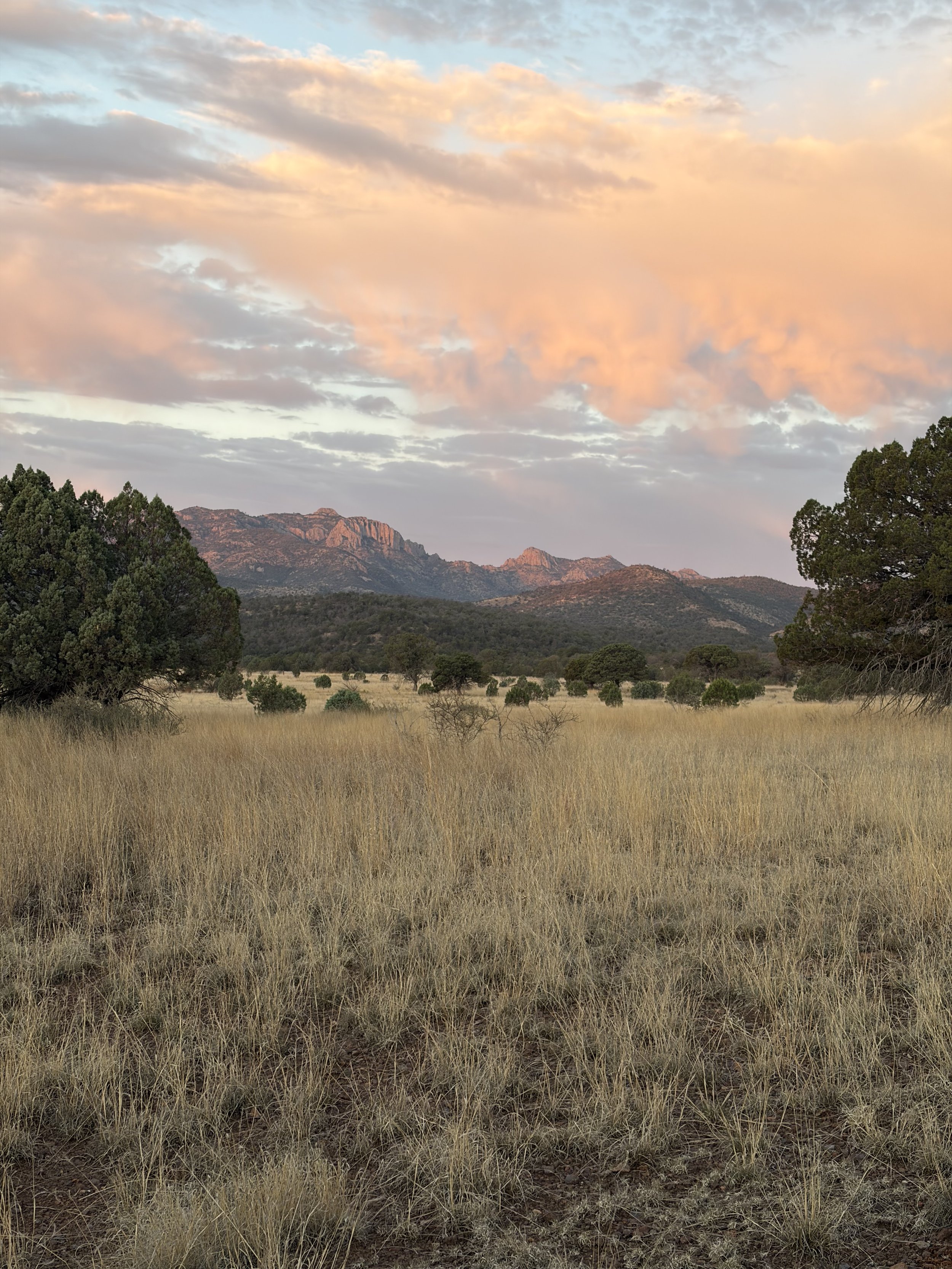 A landscape scene in West Texas featuring a grassy plain with scattered bushes, a range of rocky mountains in the background, and a sky with clouds illuminated by the rising sun.