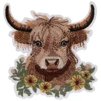 Highland Cow