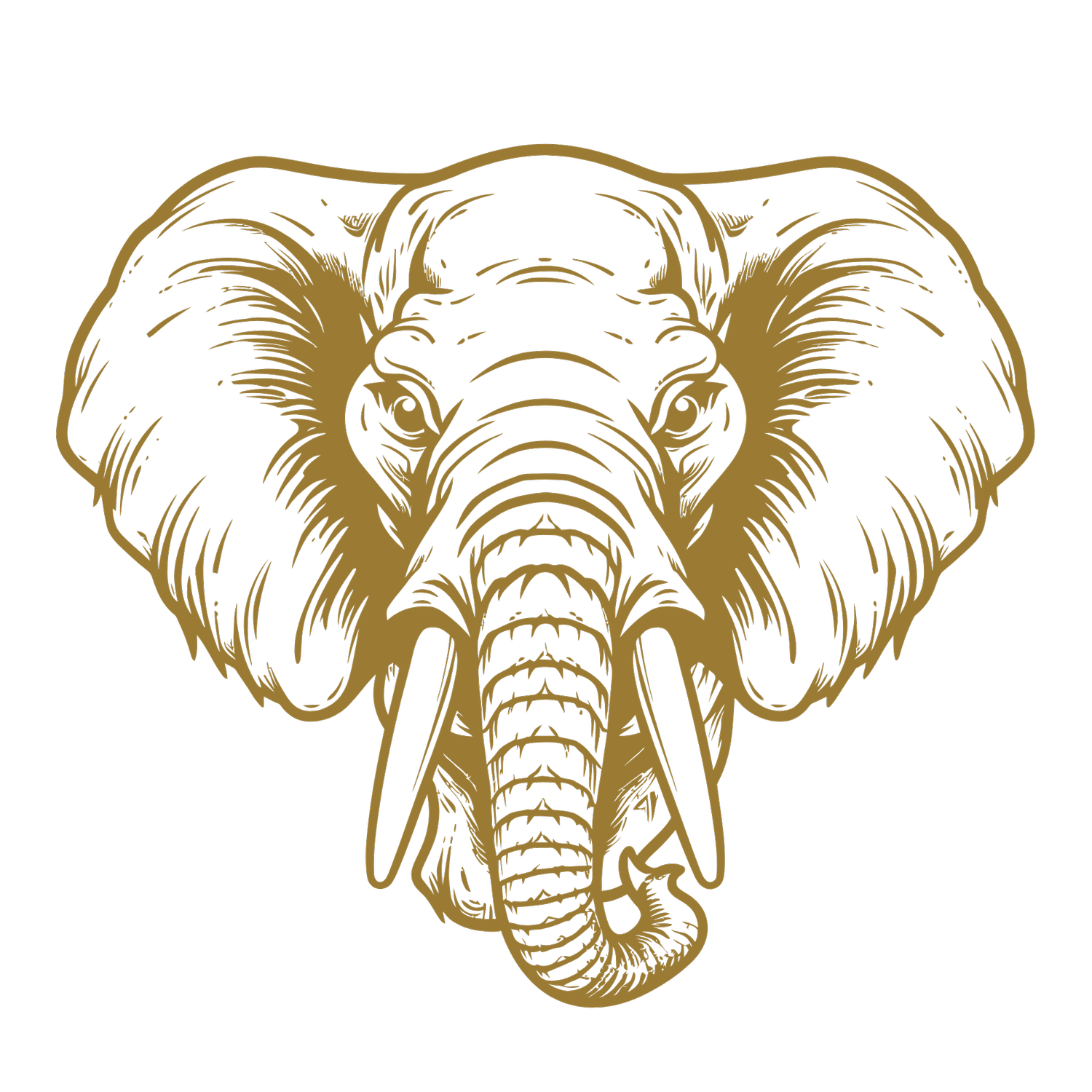 Ivory Impact