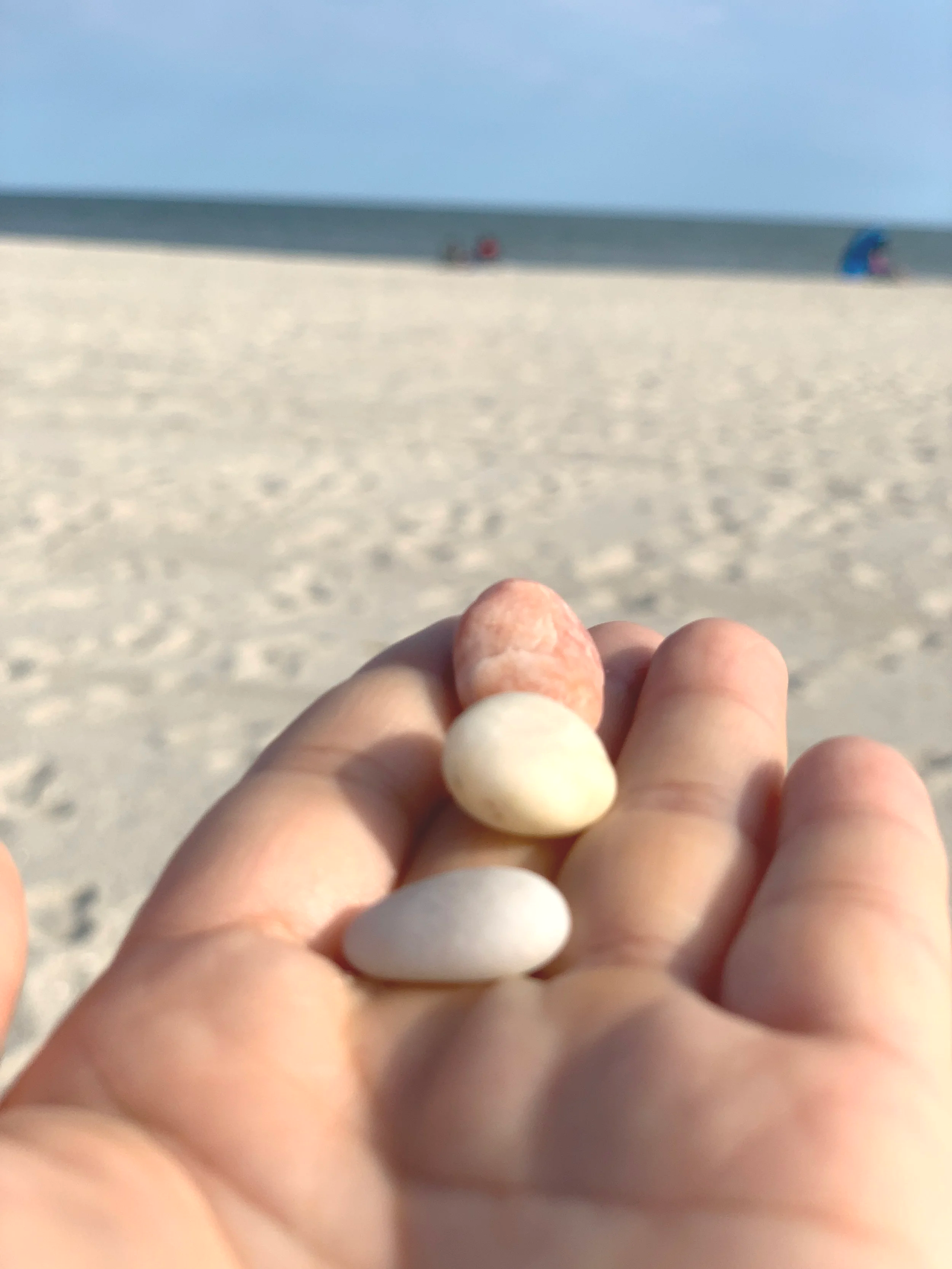 Hand Holding the rocks at the cape may beach
