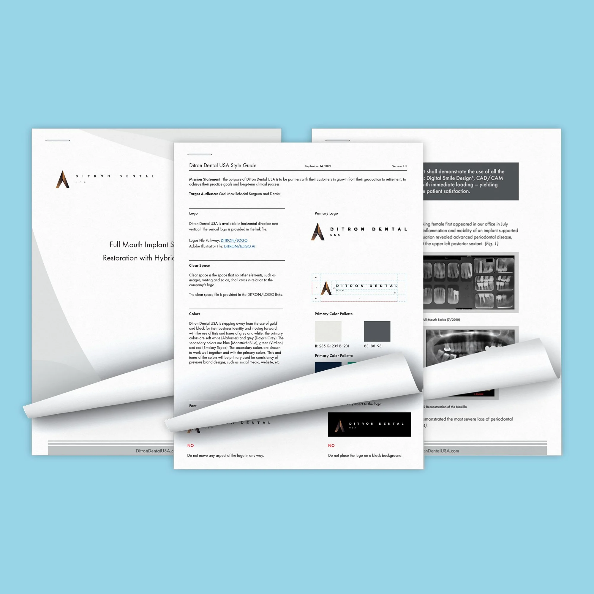 Ditron Brand Identity