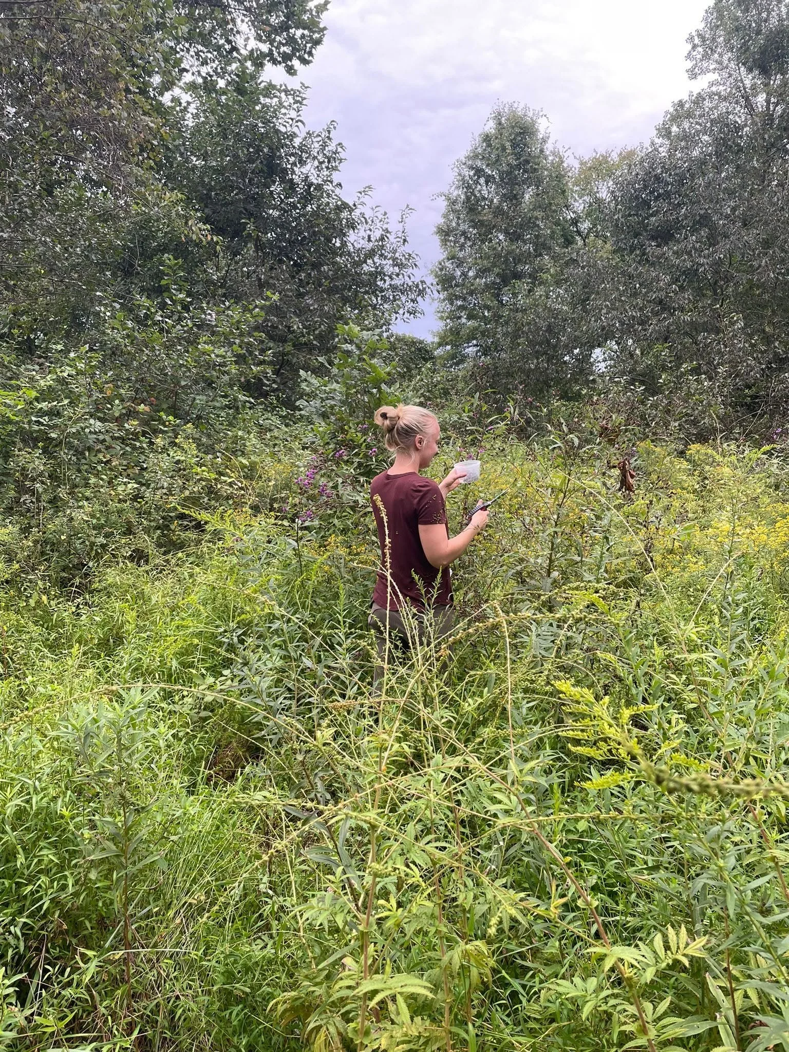 A woman with blonde hair tied in a bun, wearing a maroon shirt, stands in a dense, overgrown grassy area with various green plants and bushes, holding a plastic container in her left hand and a tool in her right hand, surrounded by tall trees under a cloudy sky.