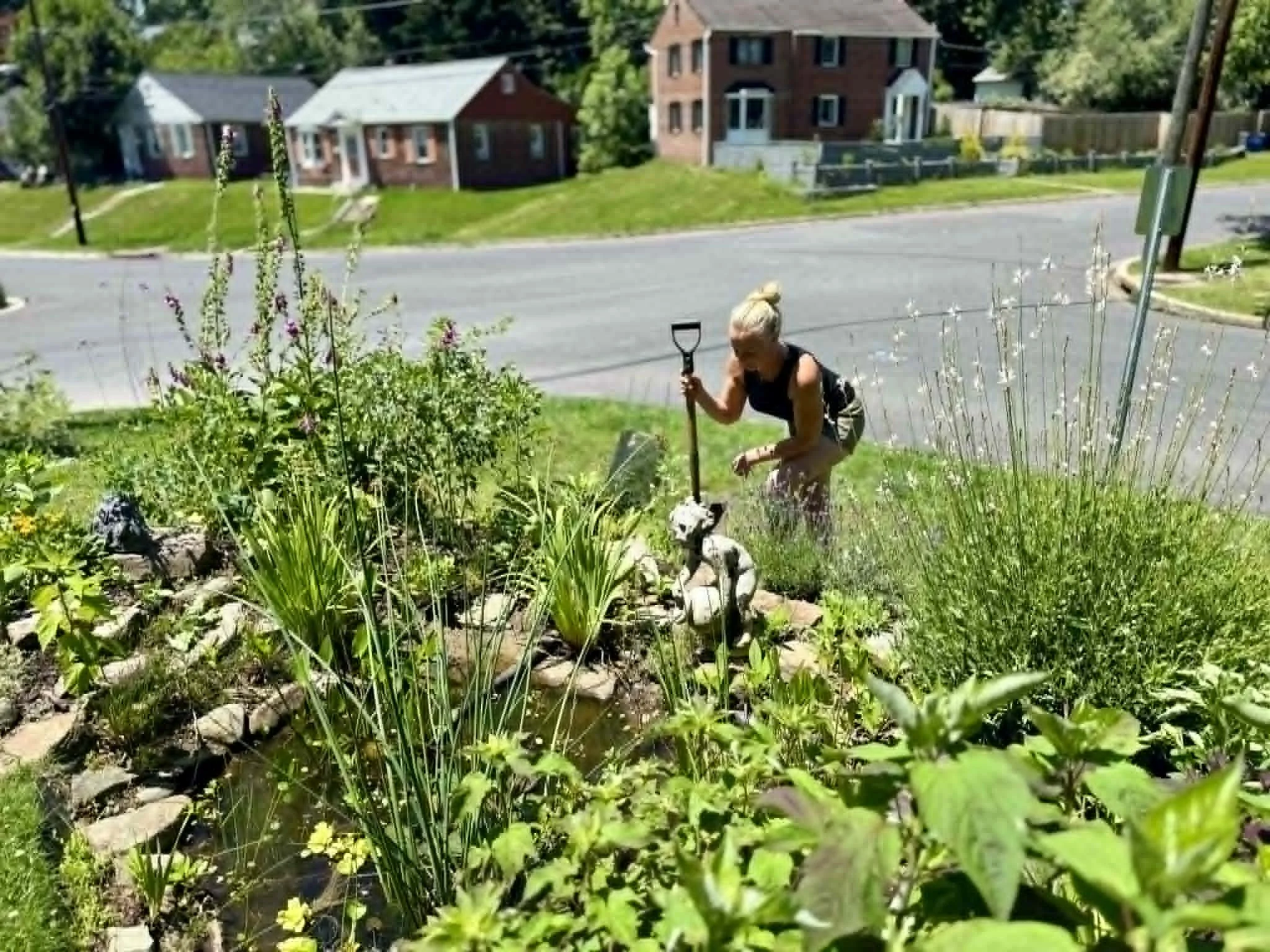A woman with a ponytail and black sleeveless top is gardening near a small pond with plants and rocks, in a residential neighborhood with brick houses and trees in the background.