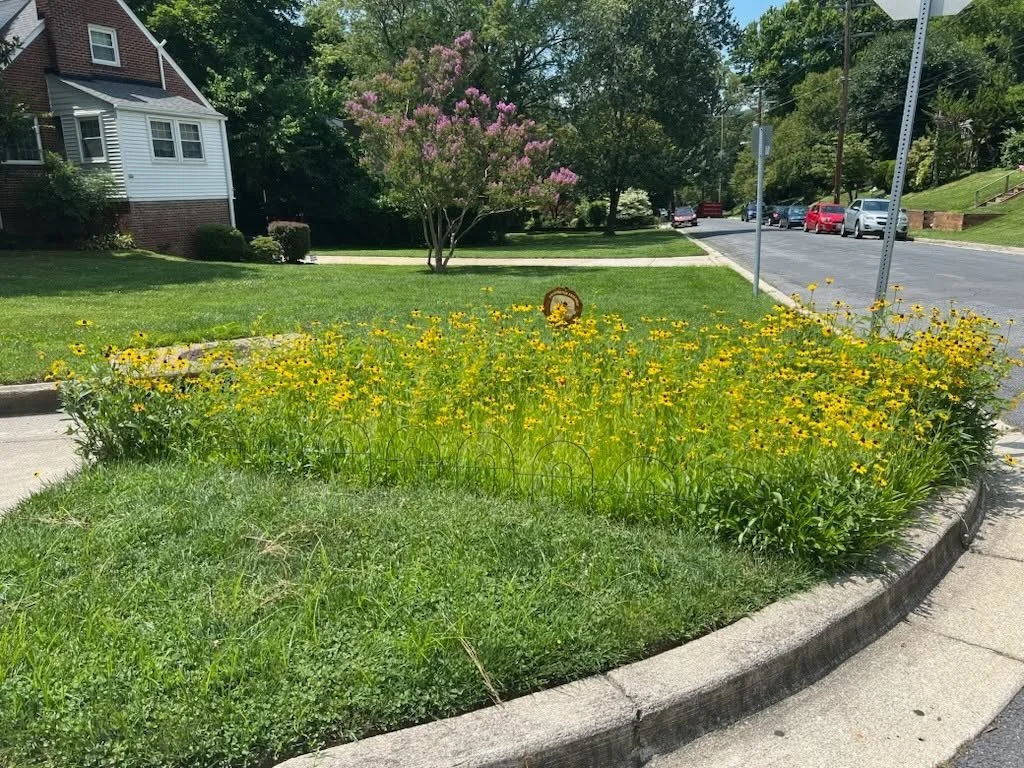 Flower bed with yellow flowers, a small metal sculpture, and a sidewalk curving around it, located on a street corner with houses, trees, and parked cars in the background.