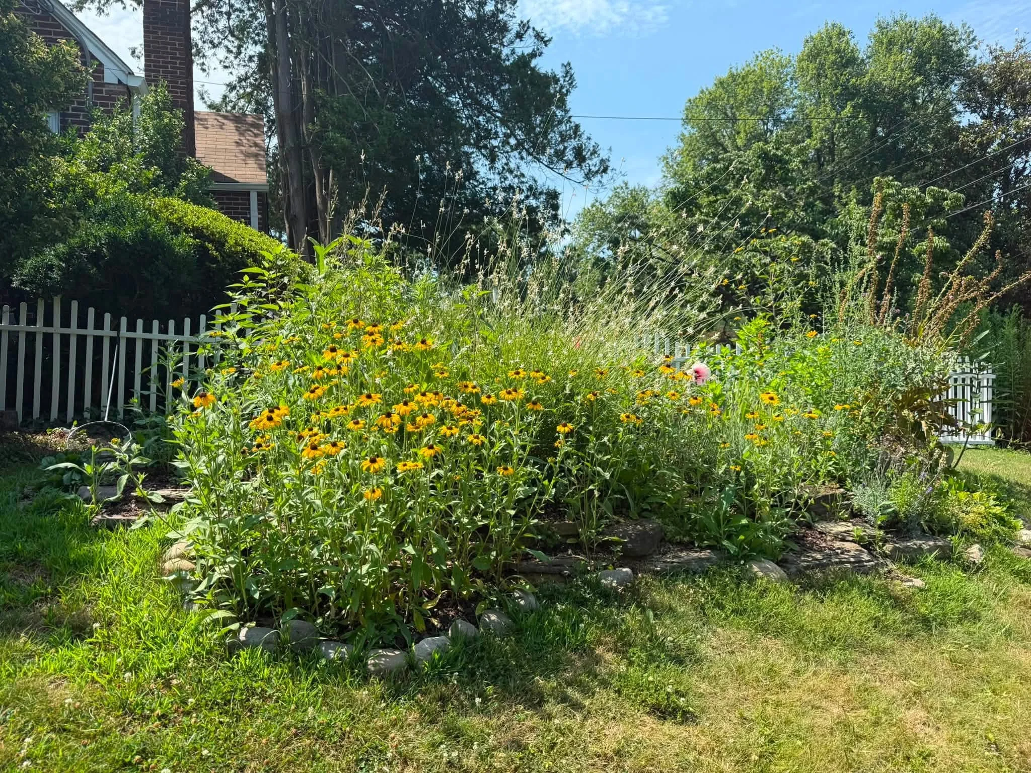 Native Planting Plan