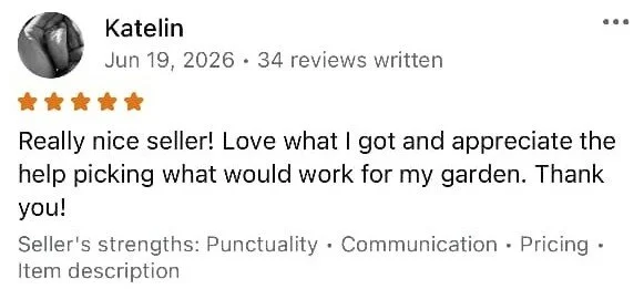 Screenshot of a positive online review from Katelyn, dated June 19, 2026, praising a seller with five stars.