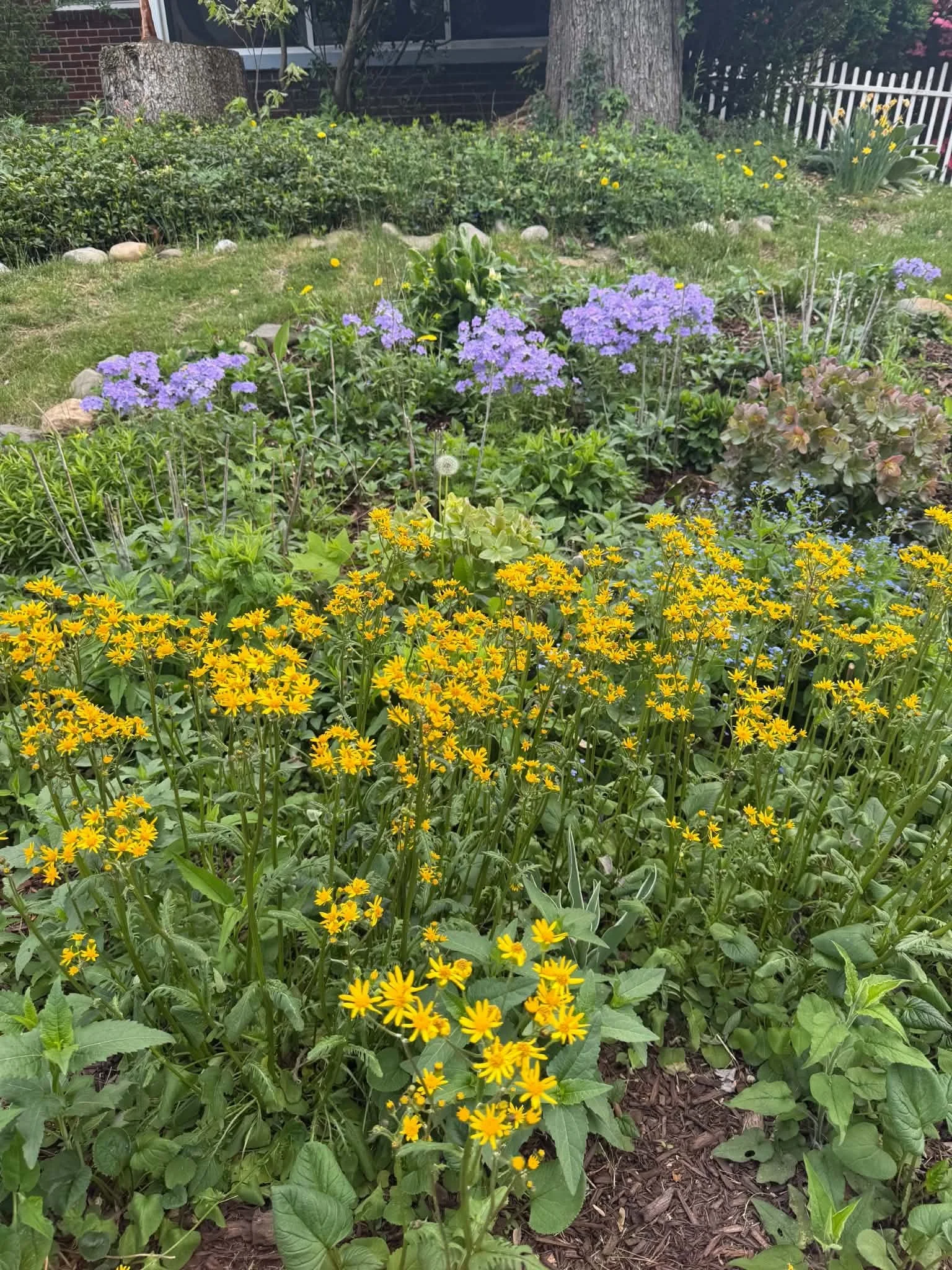 Seasonal Garden Support