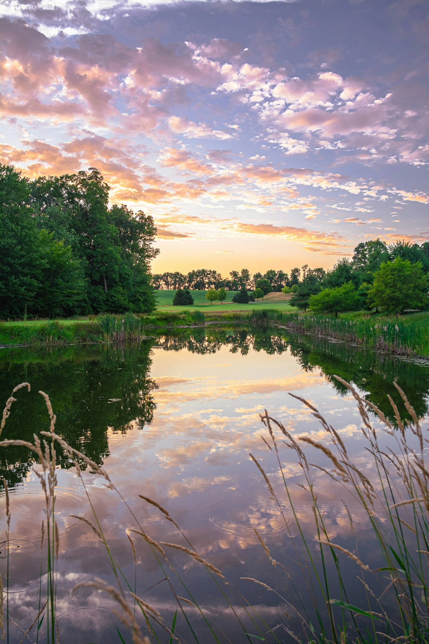 Sunset over a calm pond with trees on both sides and a partly cloudy sky reflected in the water.