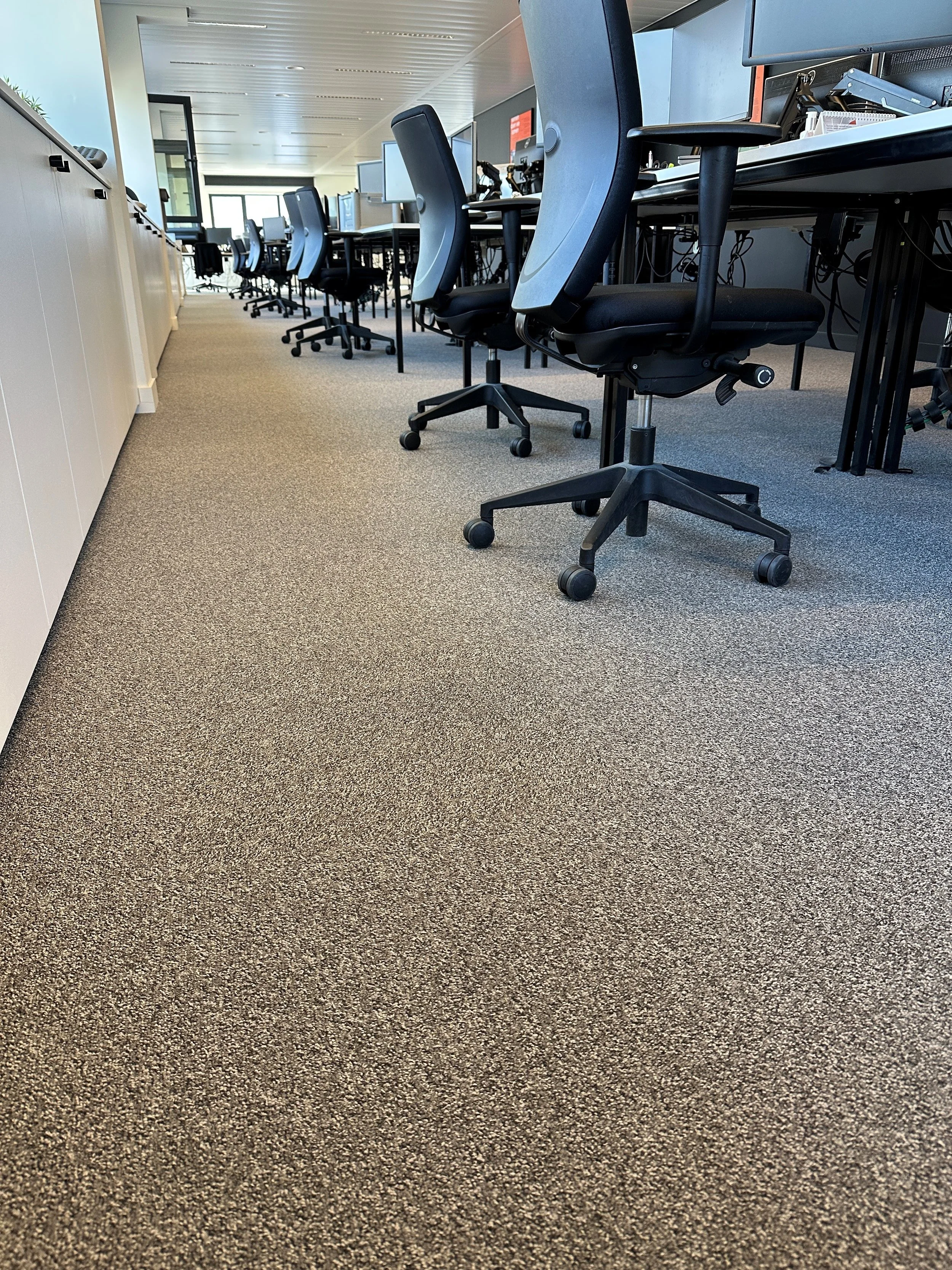 Een gepoetste kantoorruimte met rijen bureaus en bureaustoelen op een tapijtvloer.