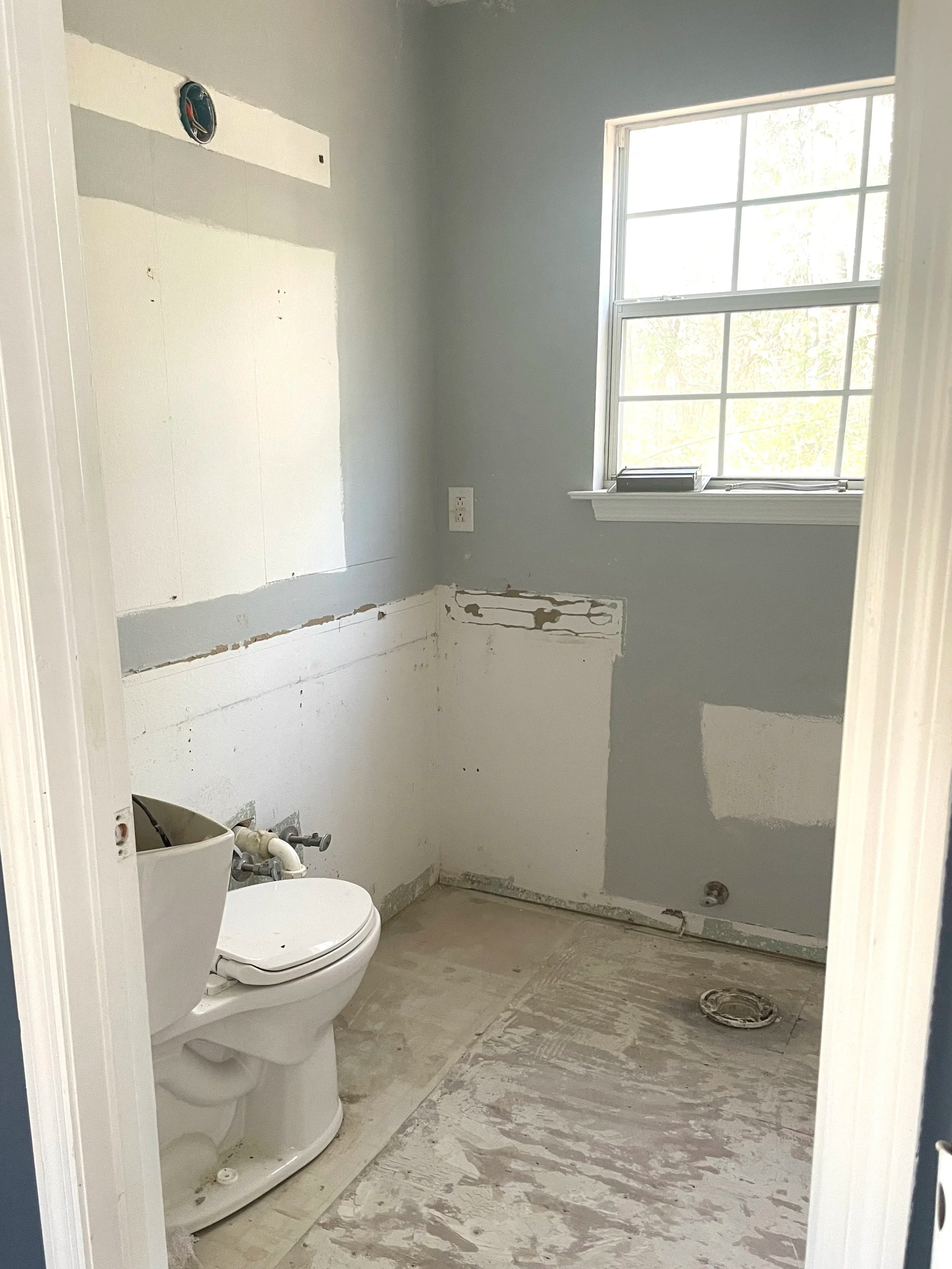 Lake House Main Bathroom After Demo