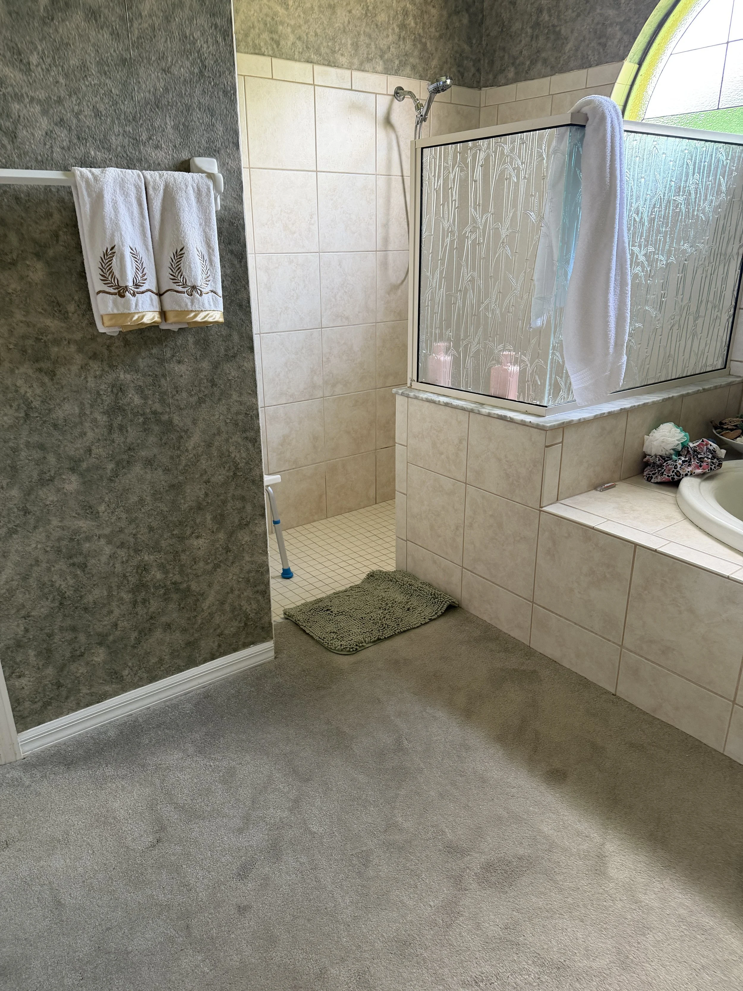 Bathroom Before