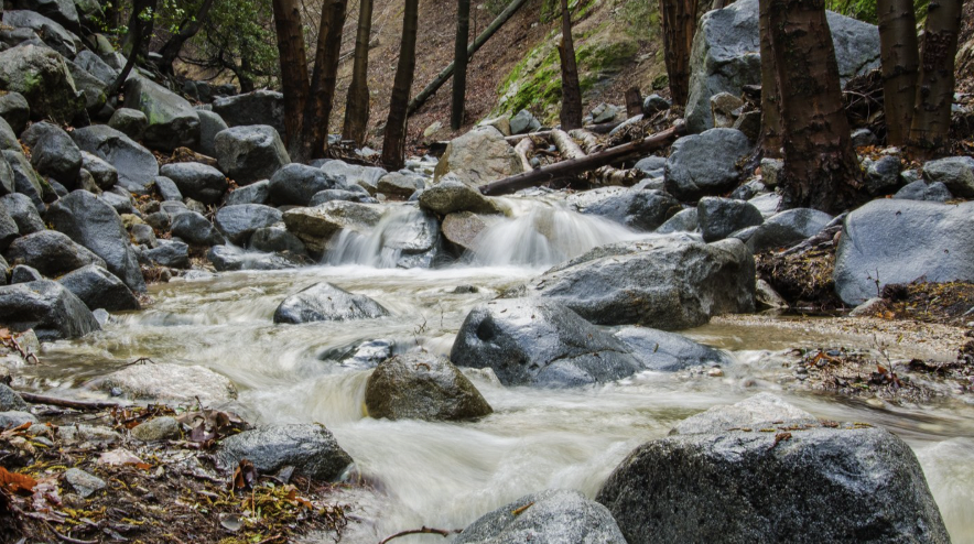 TreePeople and Coldwater Canyon Park: A Studio City Guide