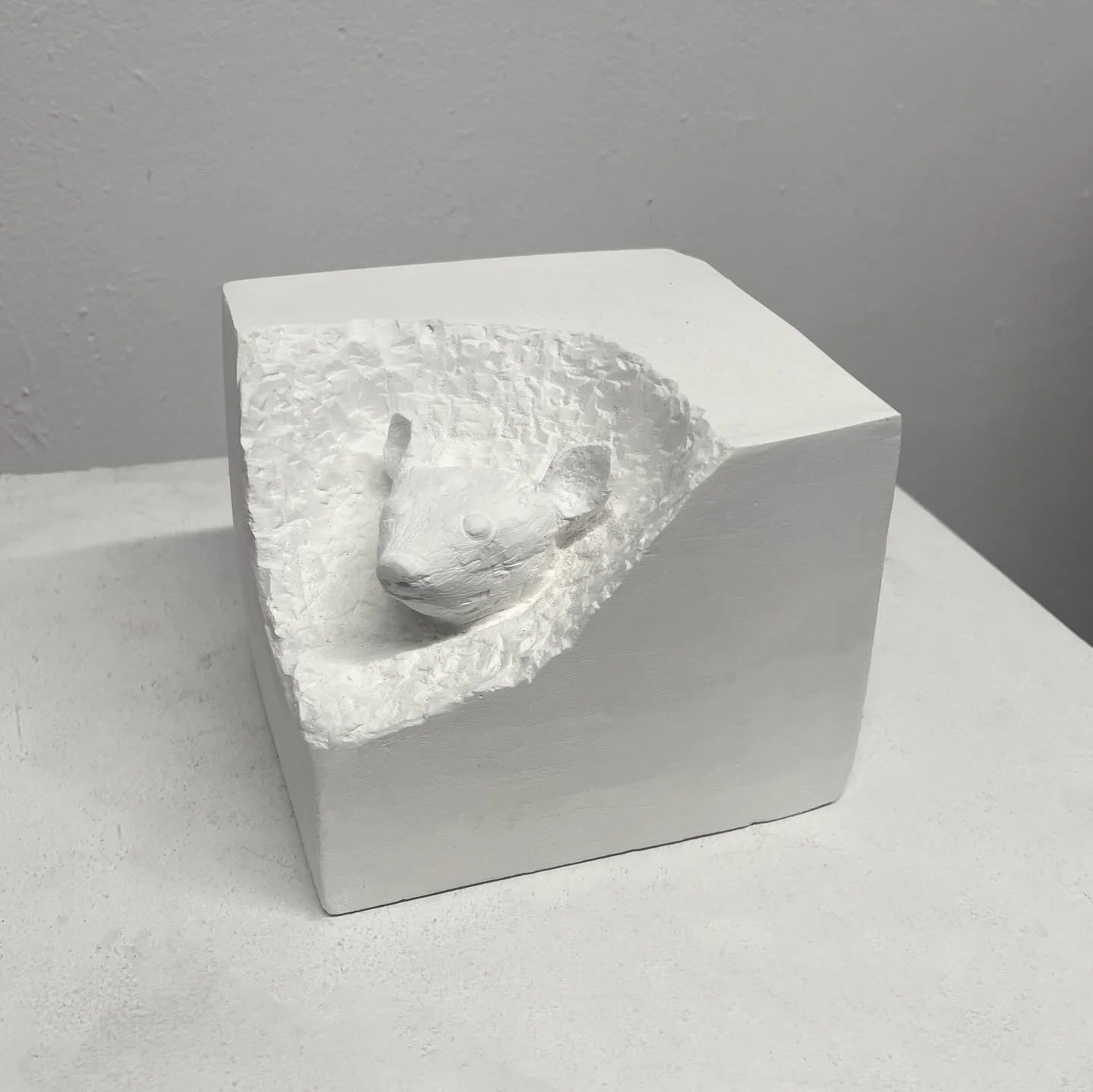 i carved a mouse carving itself out of a block of plaster🐁