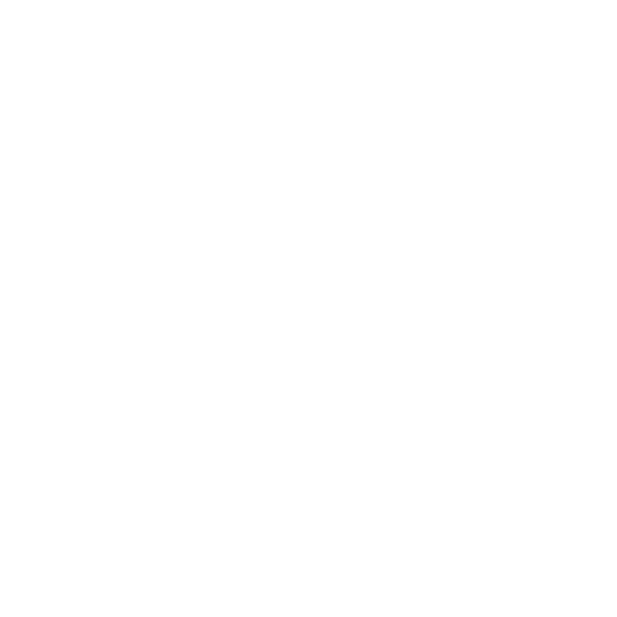 Banner Life Logo