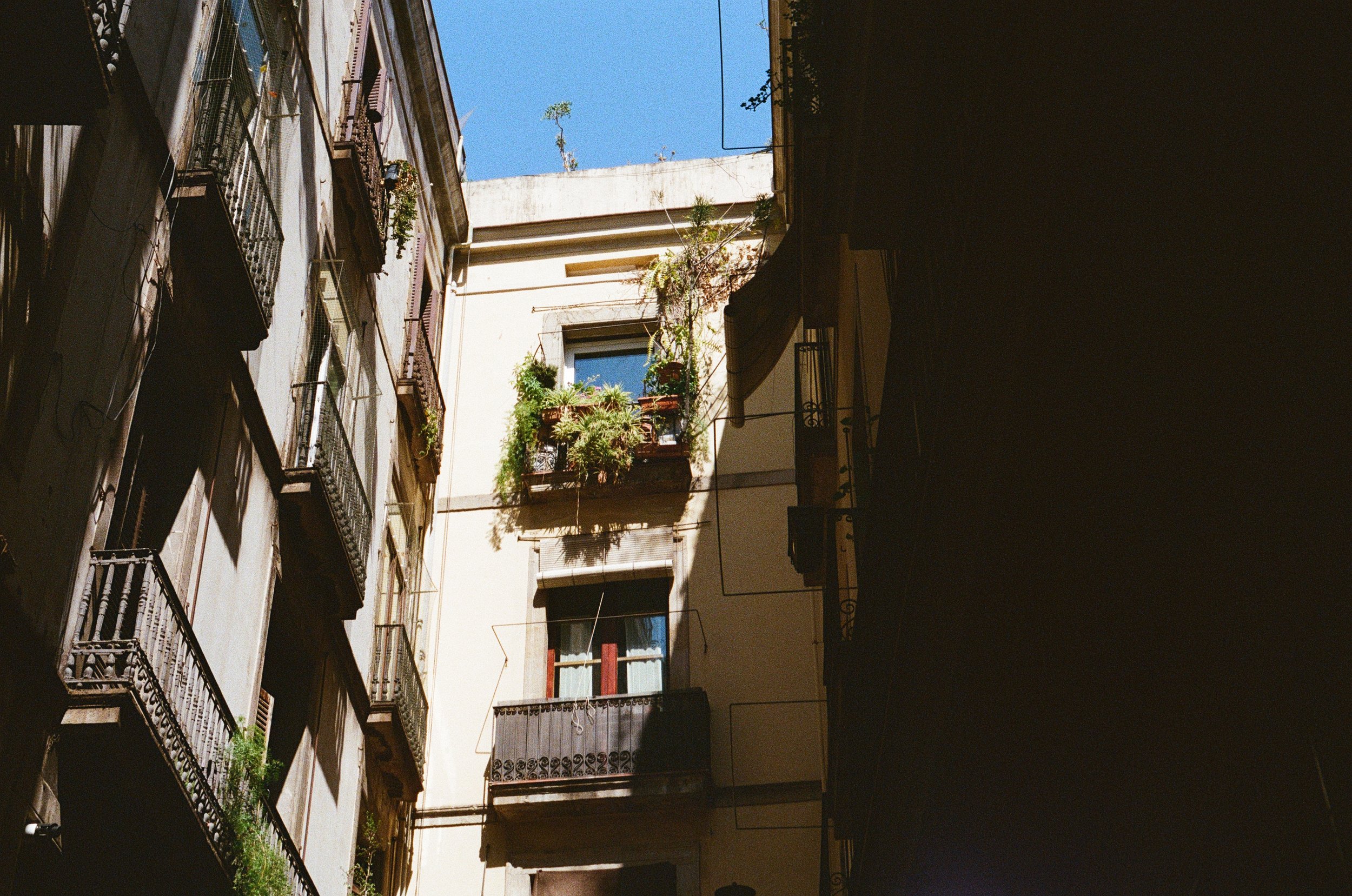 IMG_6461.jpeg