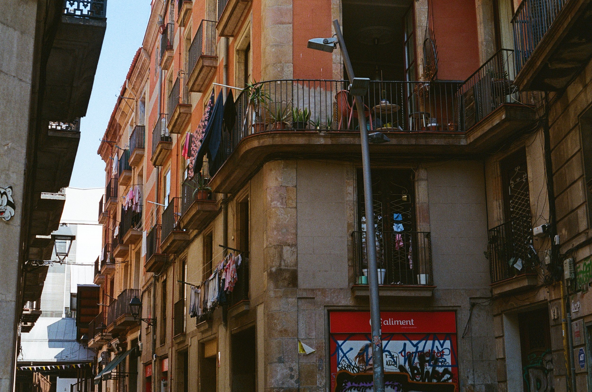 IMG_6474.jpeg