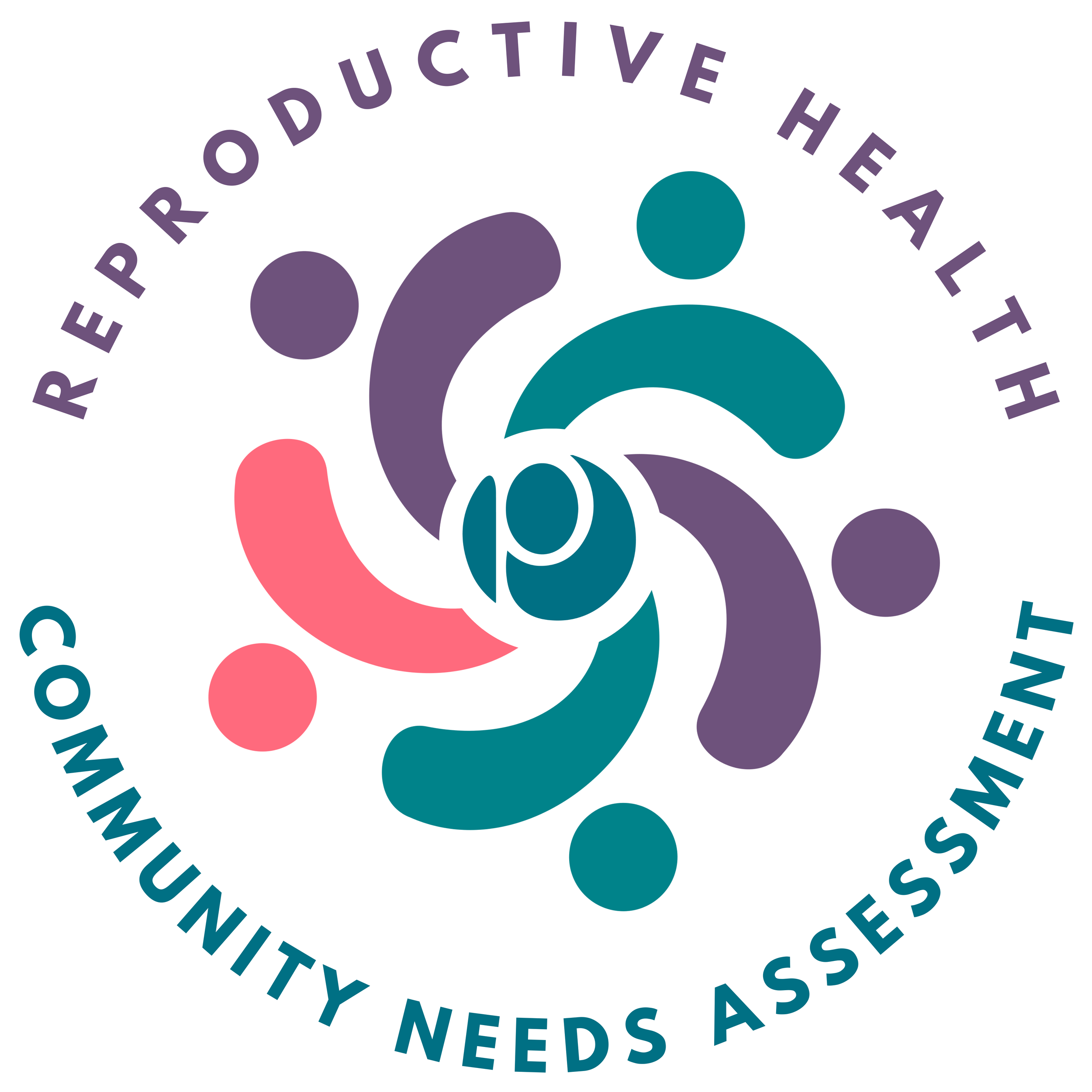 2026 Reproductive Health Community Needs Assessment  