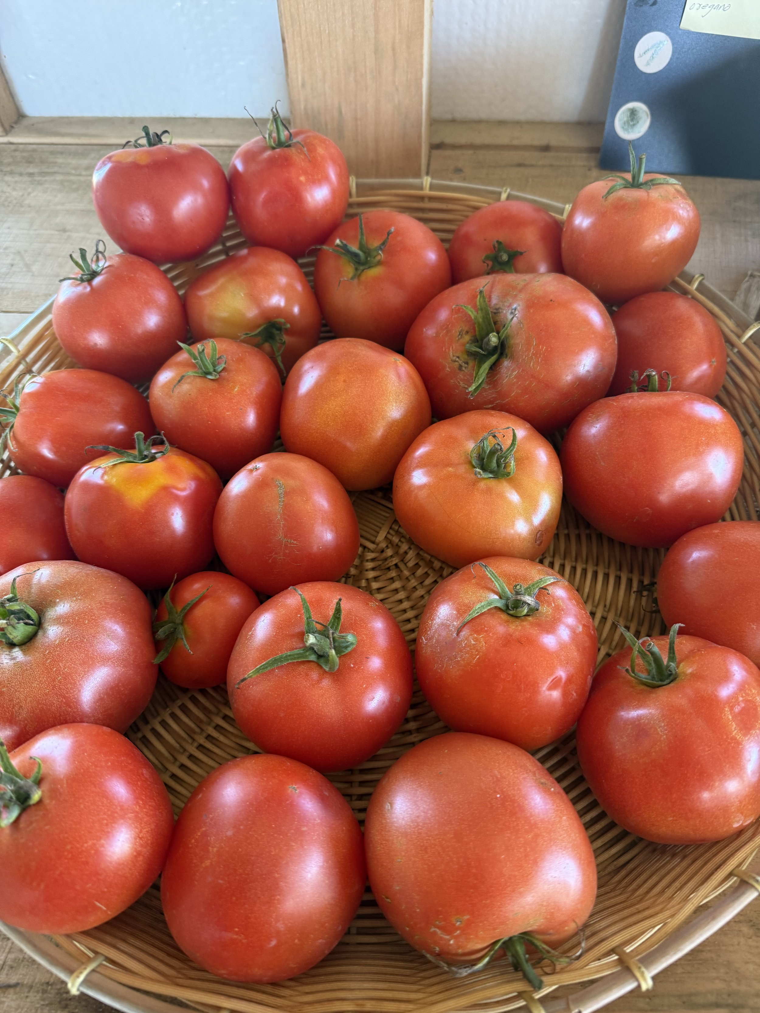 Red ripe tomatoes on a wicker basket