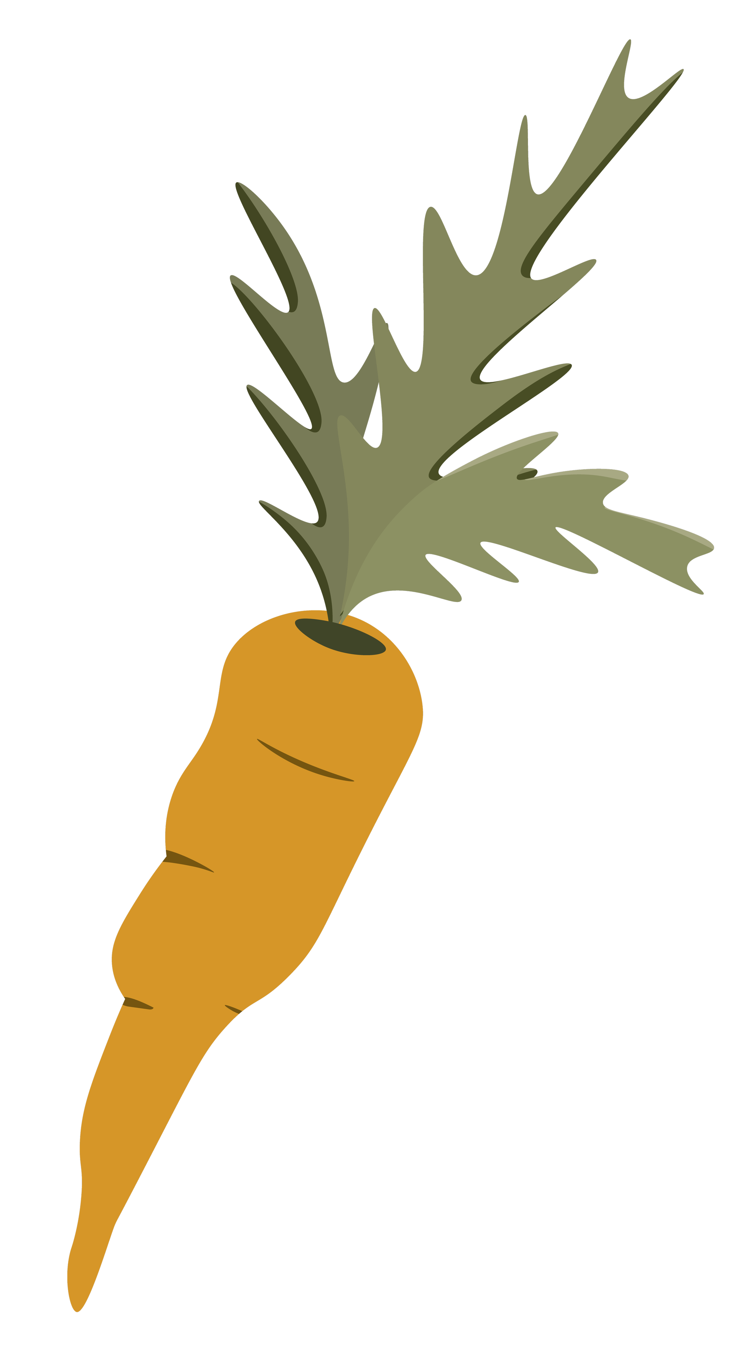 An illustration of an orange carrot