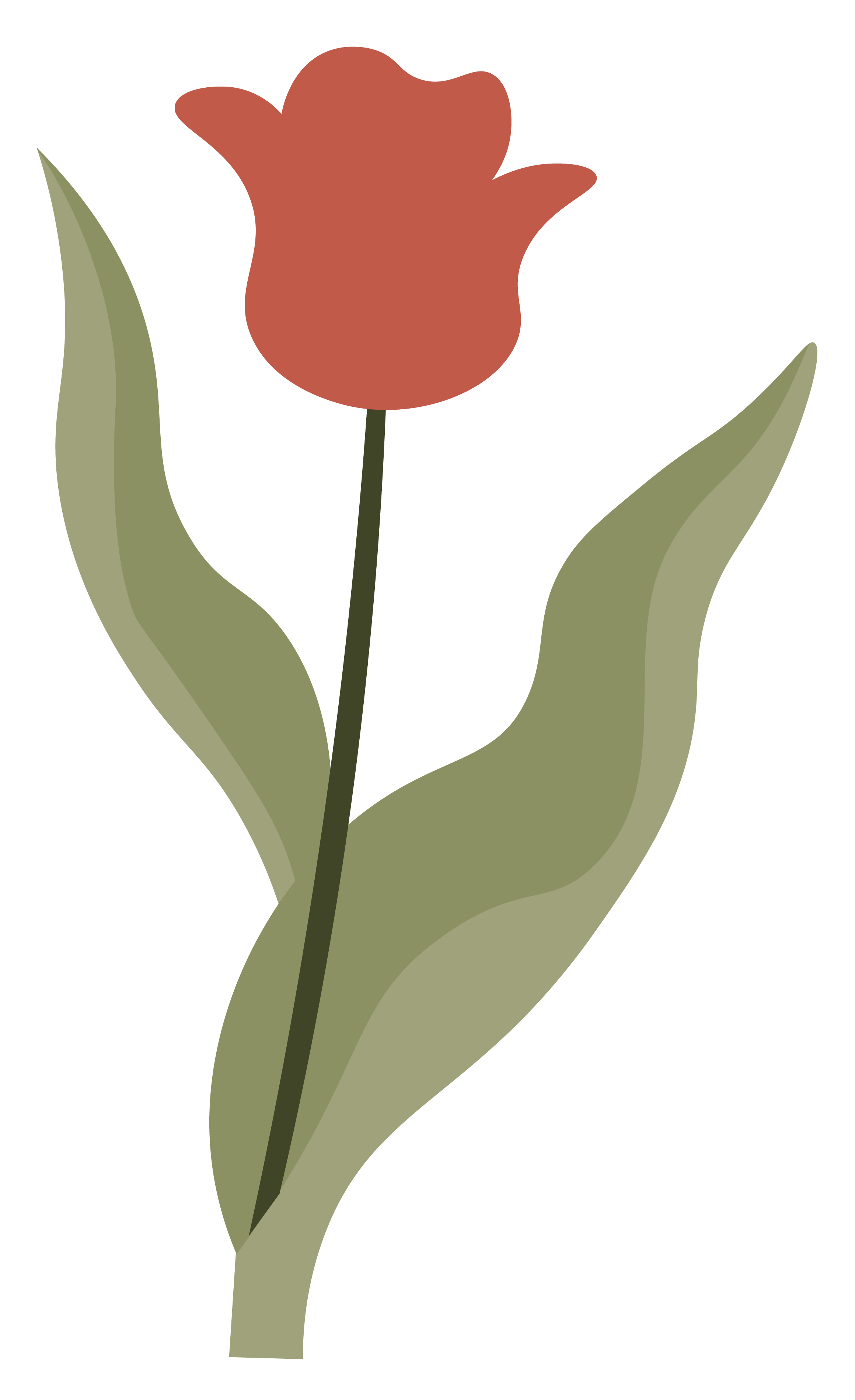 An illustration of a red tulip with green leaves