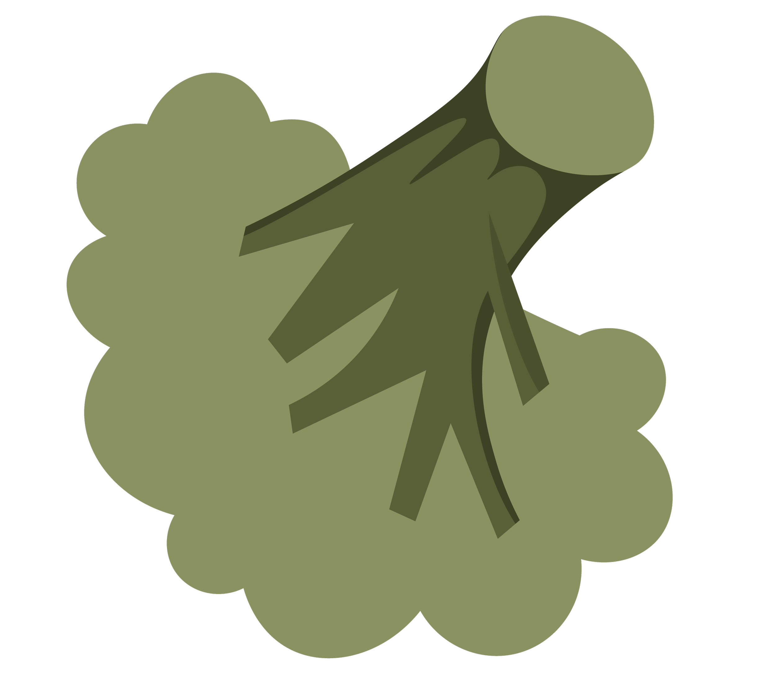 An illustration of a green head of broccoli