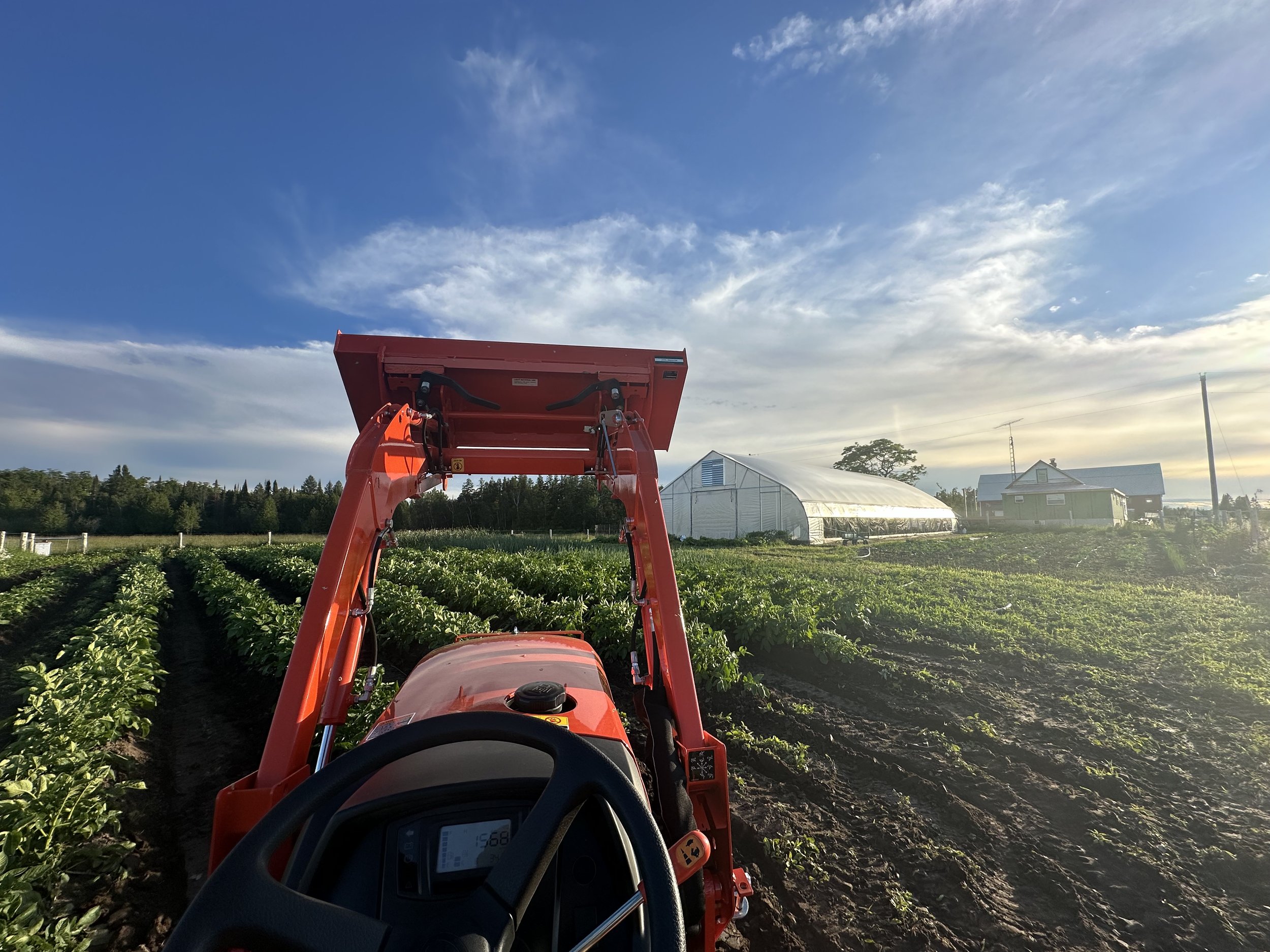 A red tractor with a lifted bucket working in the field at Demer Farm