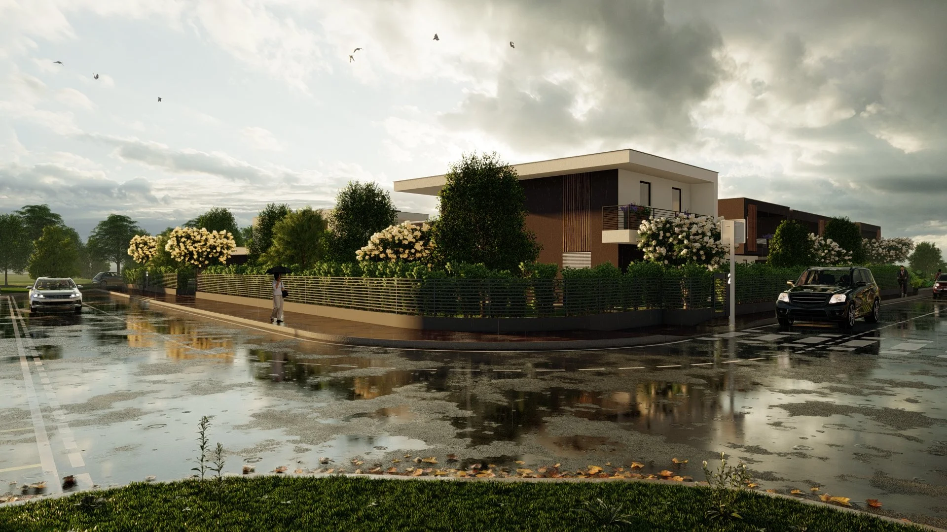 00_RENDER 05.jpg