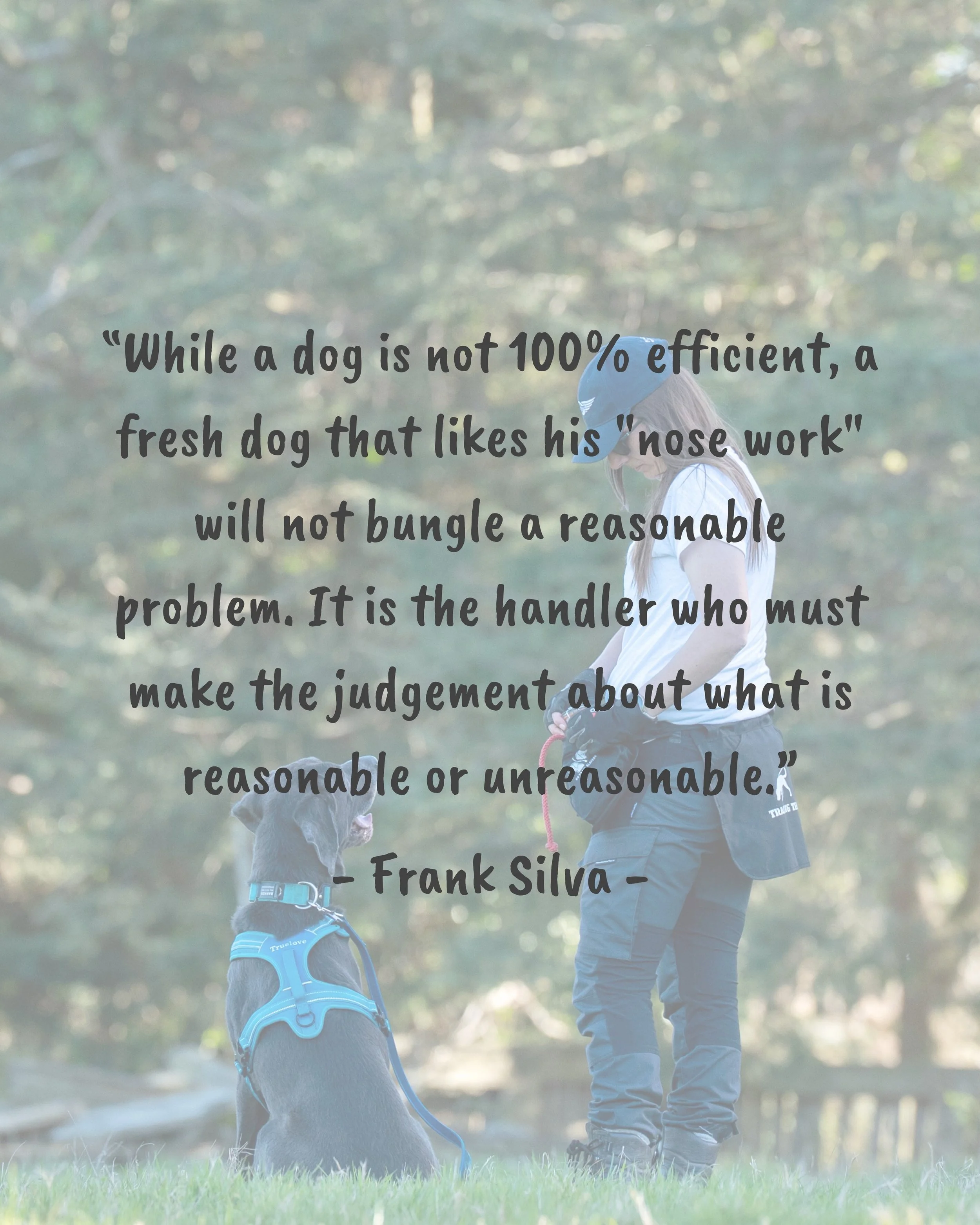 I came across this quote by SAR Dog Handler, Frank Silva, while researching a topic for an upcoming blog and felt it was worth sharing.

It's a great reminder that when a dog struggles, we should first examine the problem we've presented rather than 