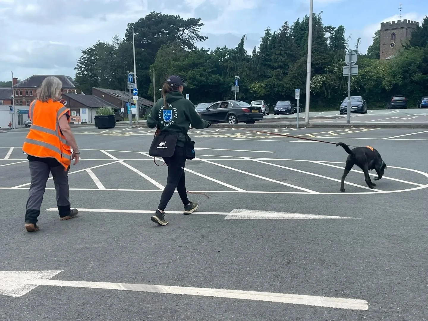 Working my own dogs is an important and non-negotiable part of my life. There is no other feeling like it. It's where I get to put theory into practice, where my own training and thinking is tested, and where I get the energy I need to teach others.
