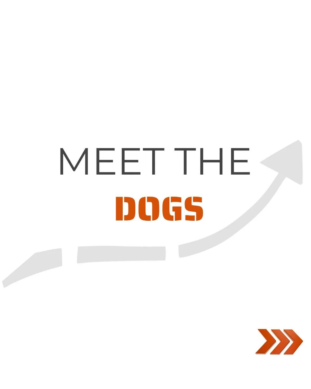 Meet the original K9 Trail Slayers and the real teachers behind Malvern Scent School.

Otis: Our very own red bear and the absolute King of Cool. Merlin: The size of a small horse, with massive enthusiasm for his work and for life. Luna: The Velvet T