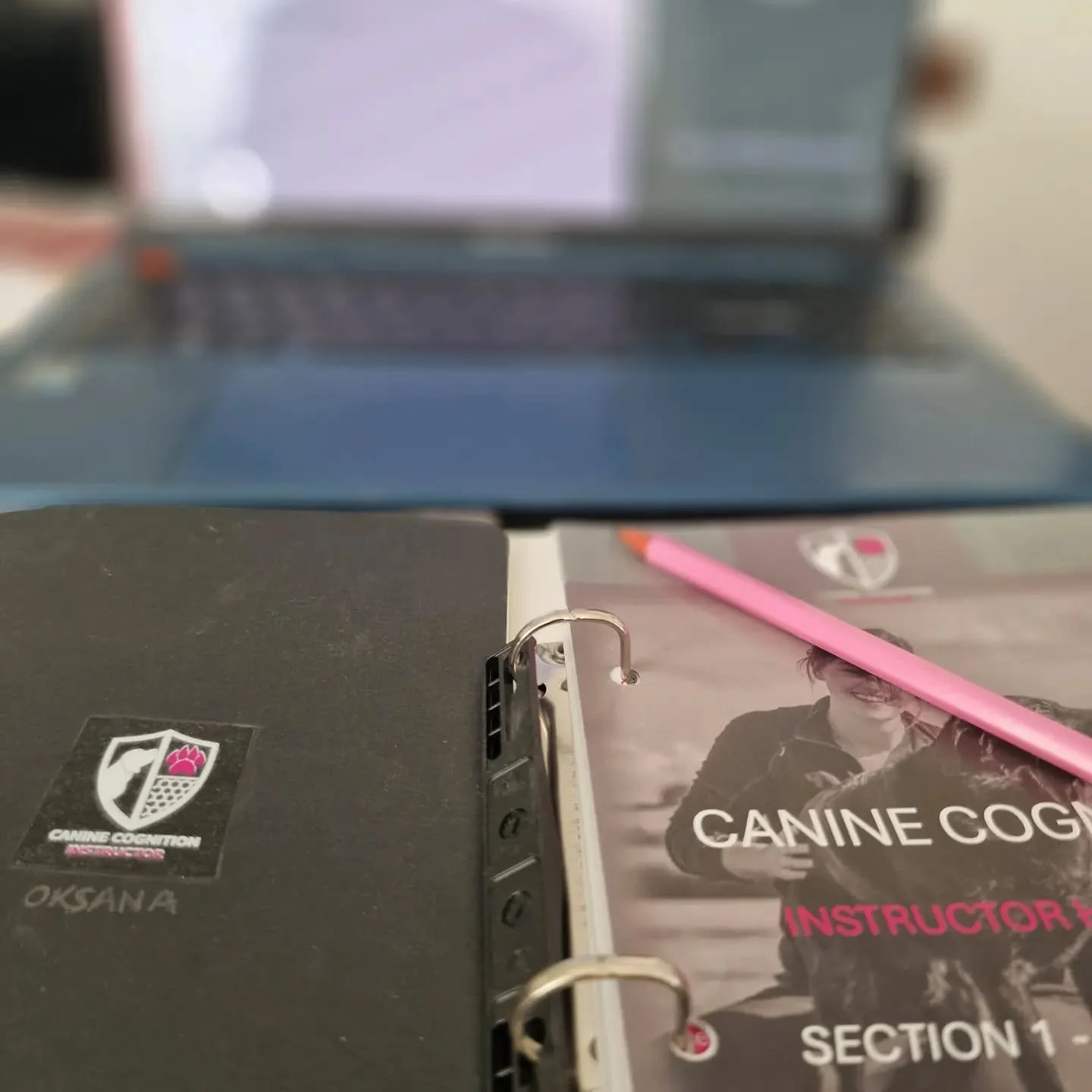 I am buzzing! 🤓🤯🐾

I've just come back from an incredible 3-day Canine Cognition Instructor course with @endeavourcanine and my brain is just bursting with ideas and possibilities.

One thing it has reinforced is something I talk a lot about alrea