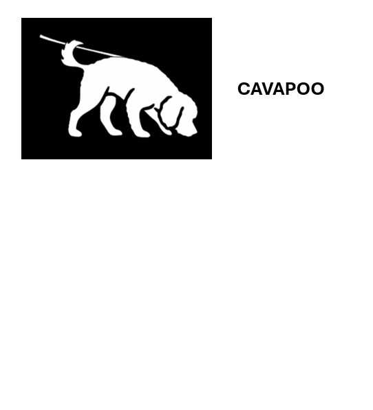 Cavapoo_sil (1).png