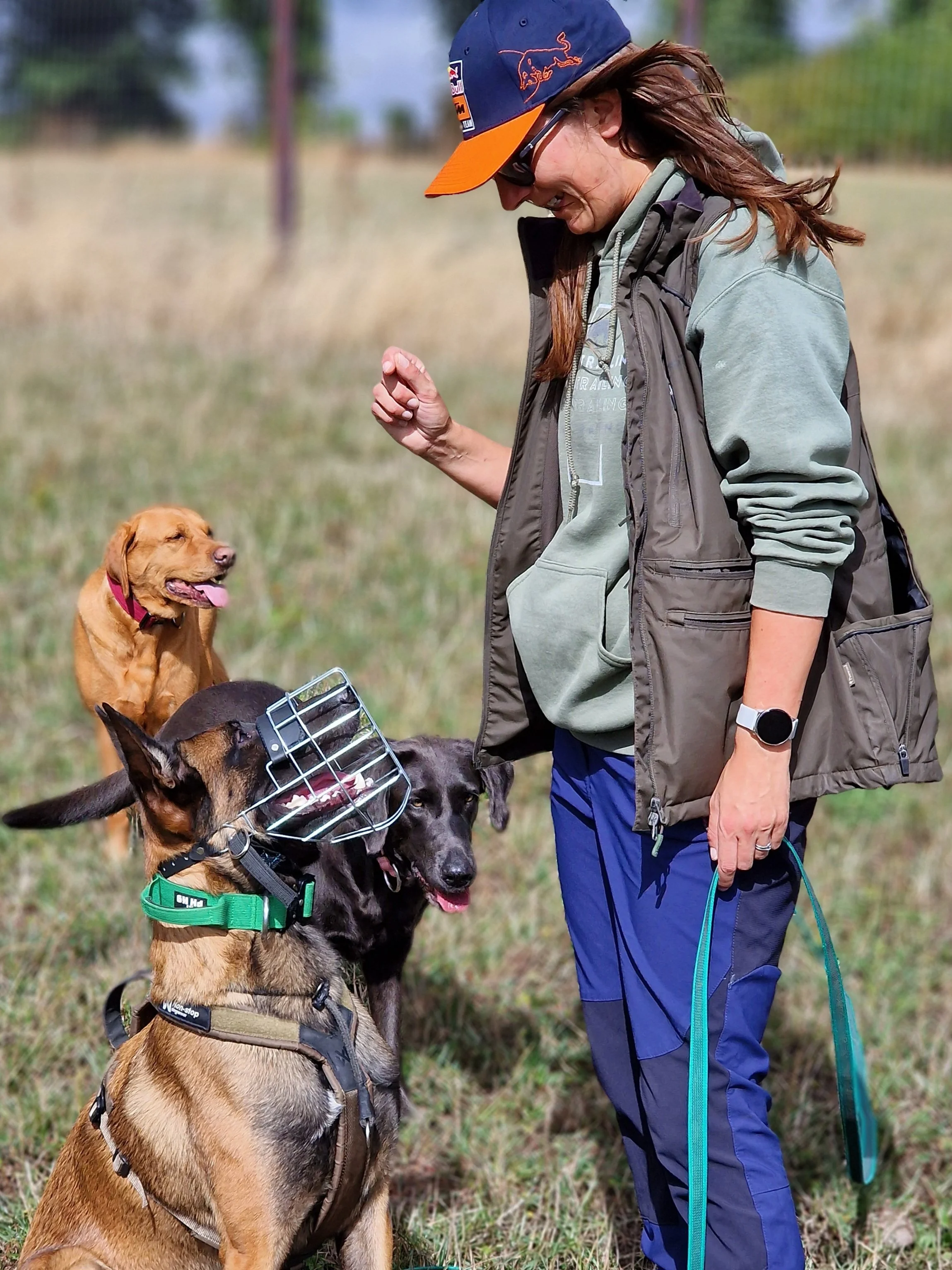 A woman with brown hair wearing a blue and orange Red Bull cap, glasses, a gray hoodie, and a brown vest, outdoors with three dogs on a grassy field, one with a protective headgear, all wearing harnesses.
