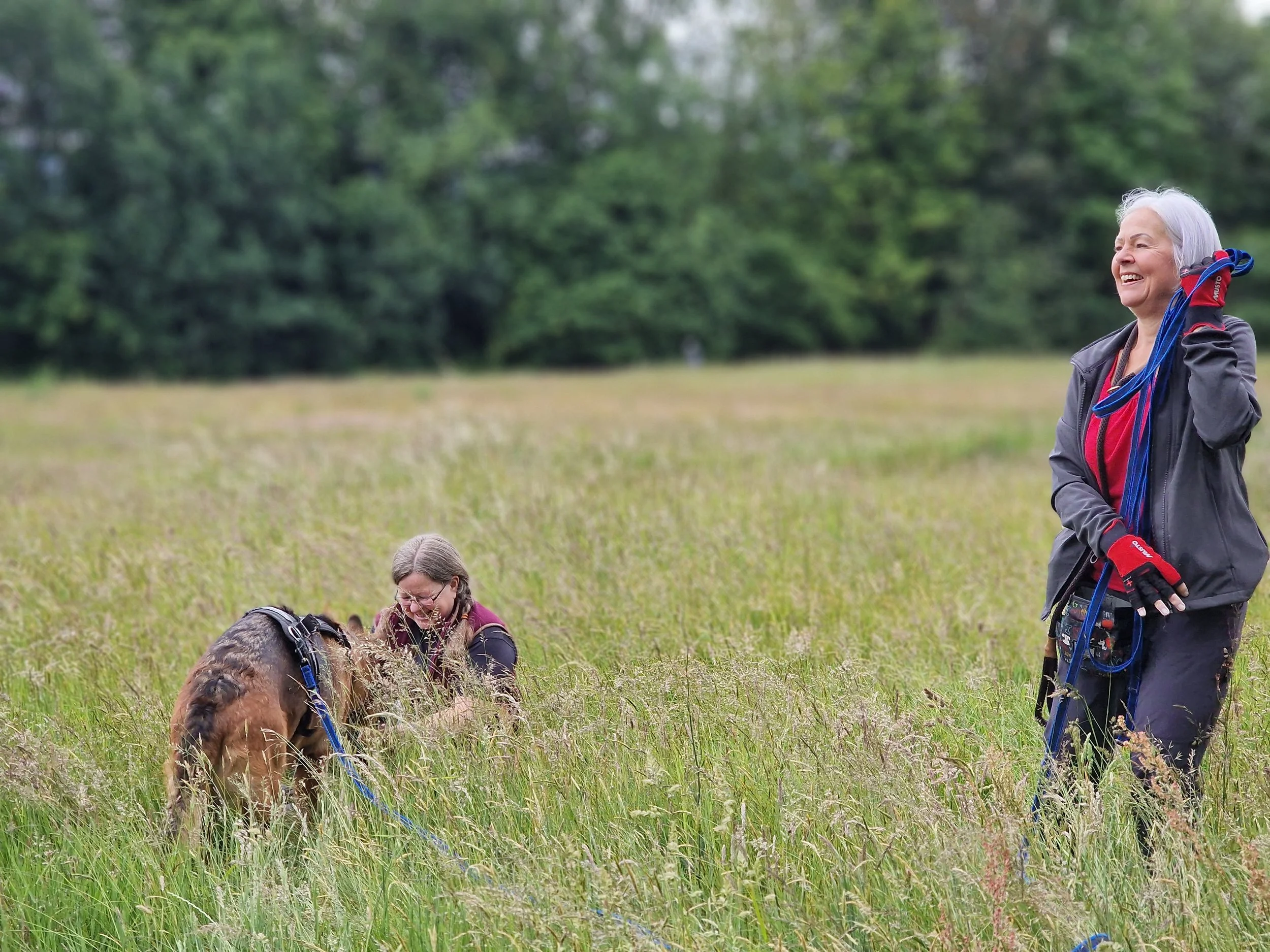 A woman with gray hair smiling and holding a leash, standing in a grassy field with a dog find a hidden person in the long grass next to her, trees in the background.